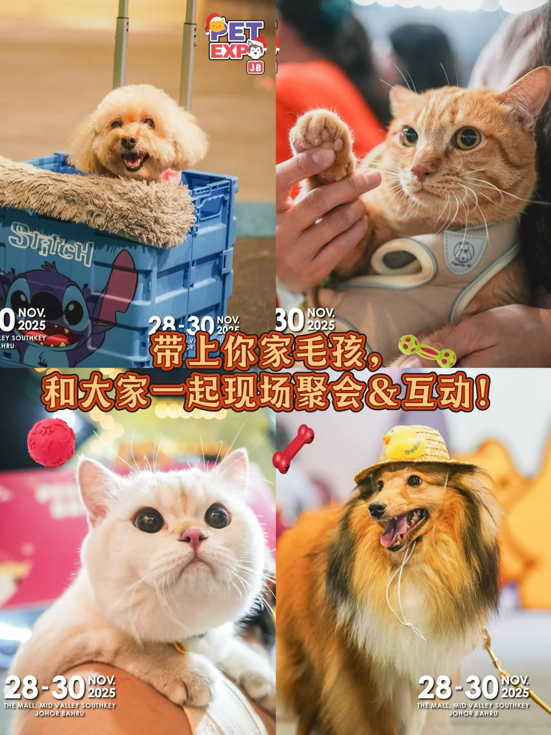 11月宠物展Pet Expo 2025攻占JB新山！???