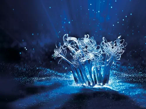 ???2025年12月布拉格梦幻圣诞季活动推荐