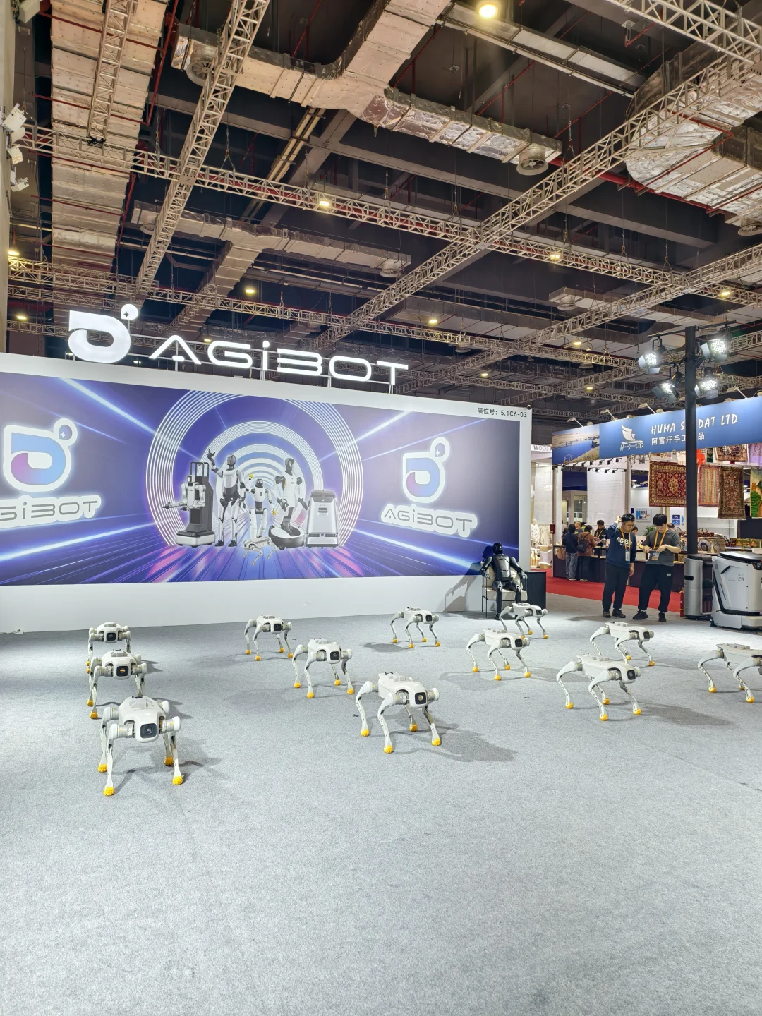 降温的一天，整理一些进博会的记忆碎片