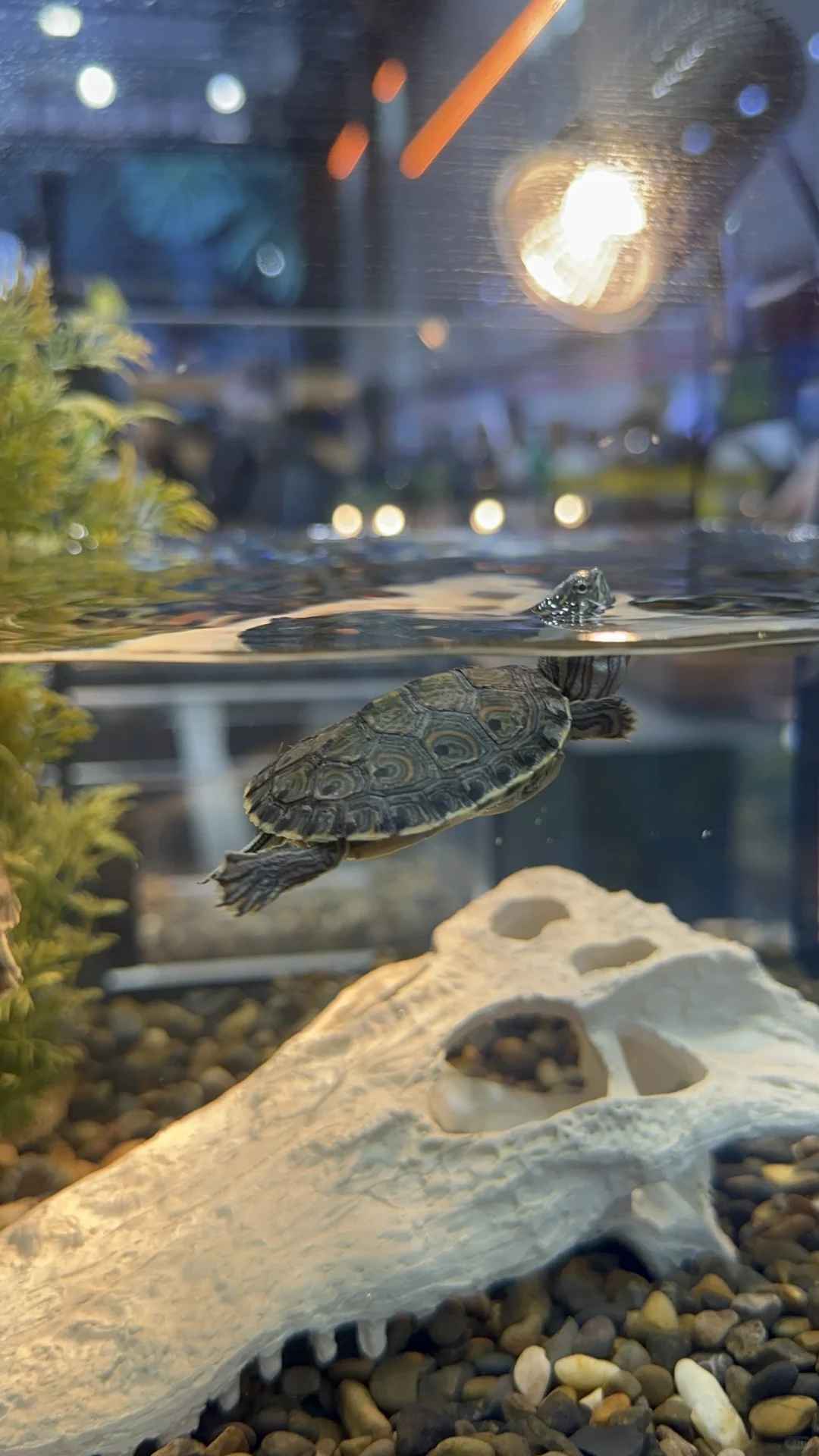 云观展- 2025长城杯