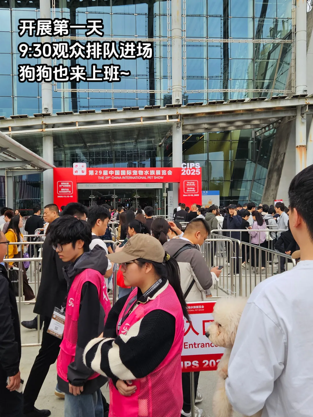 干翻译带薪看宠物！翻译到闭馆后半小时