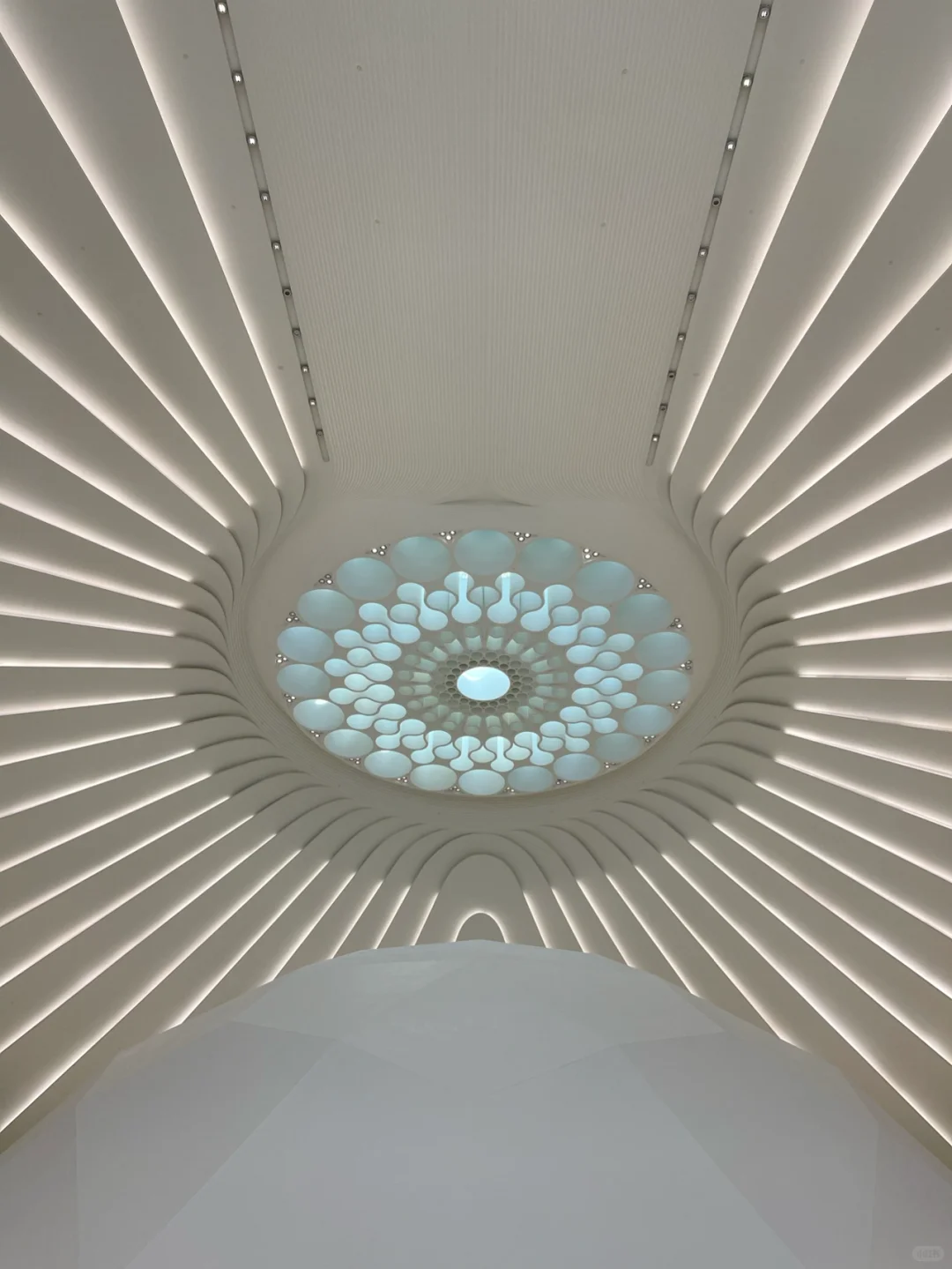 迪拜世博会UAE馆