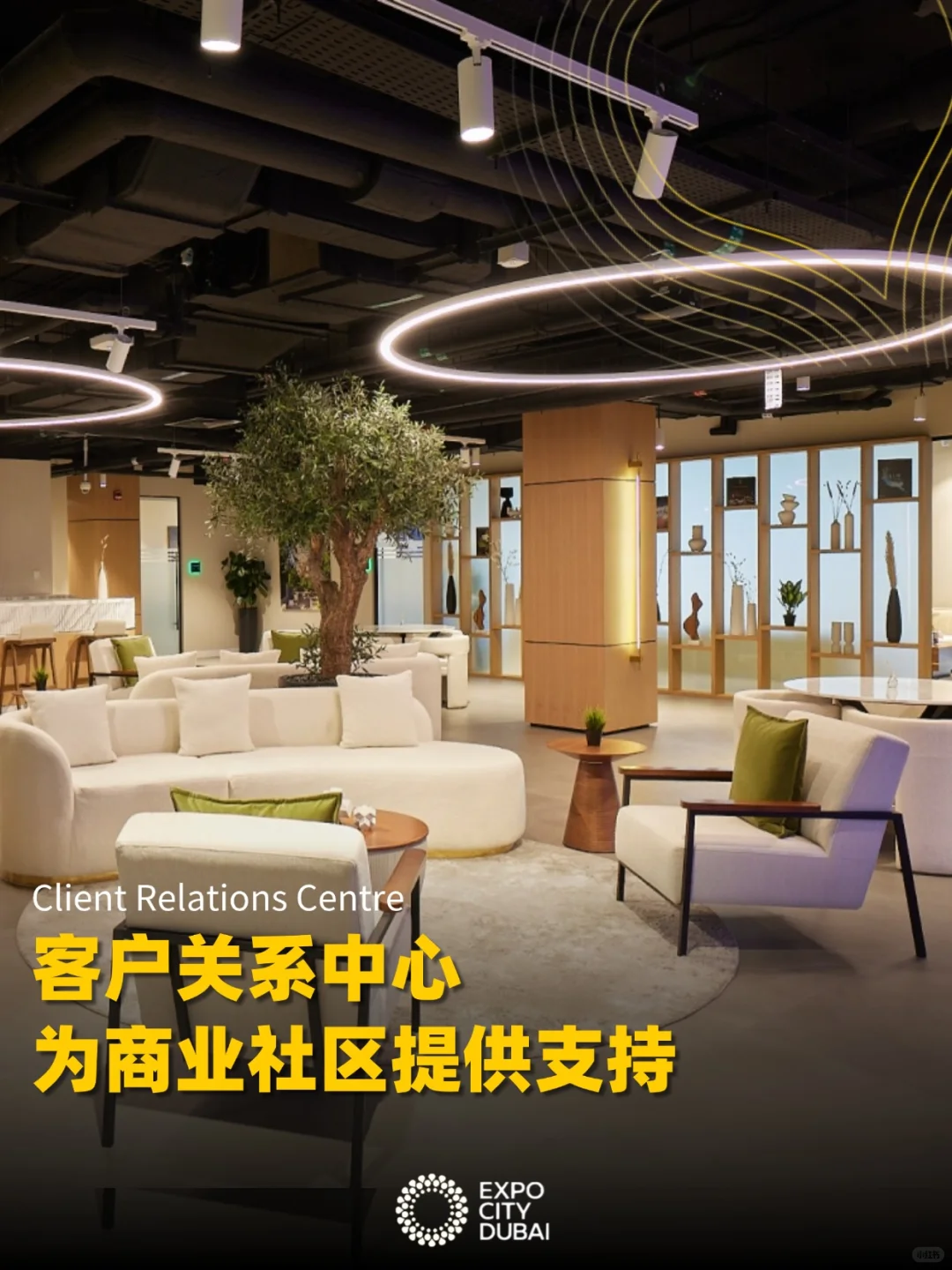 迪拜世博城｜探索未来与创新的奇妙空间❷