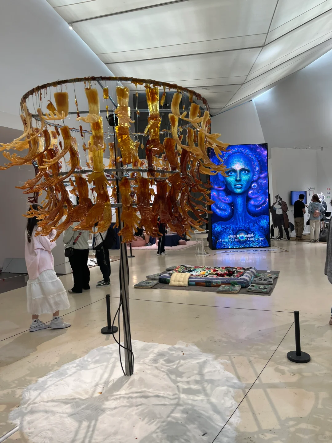 央美毕业设计展之【躺平系列】