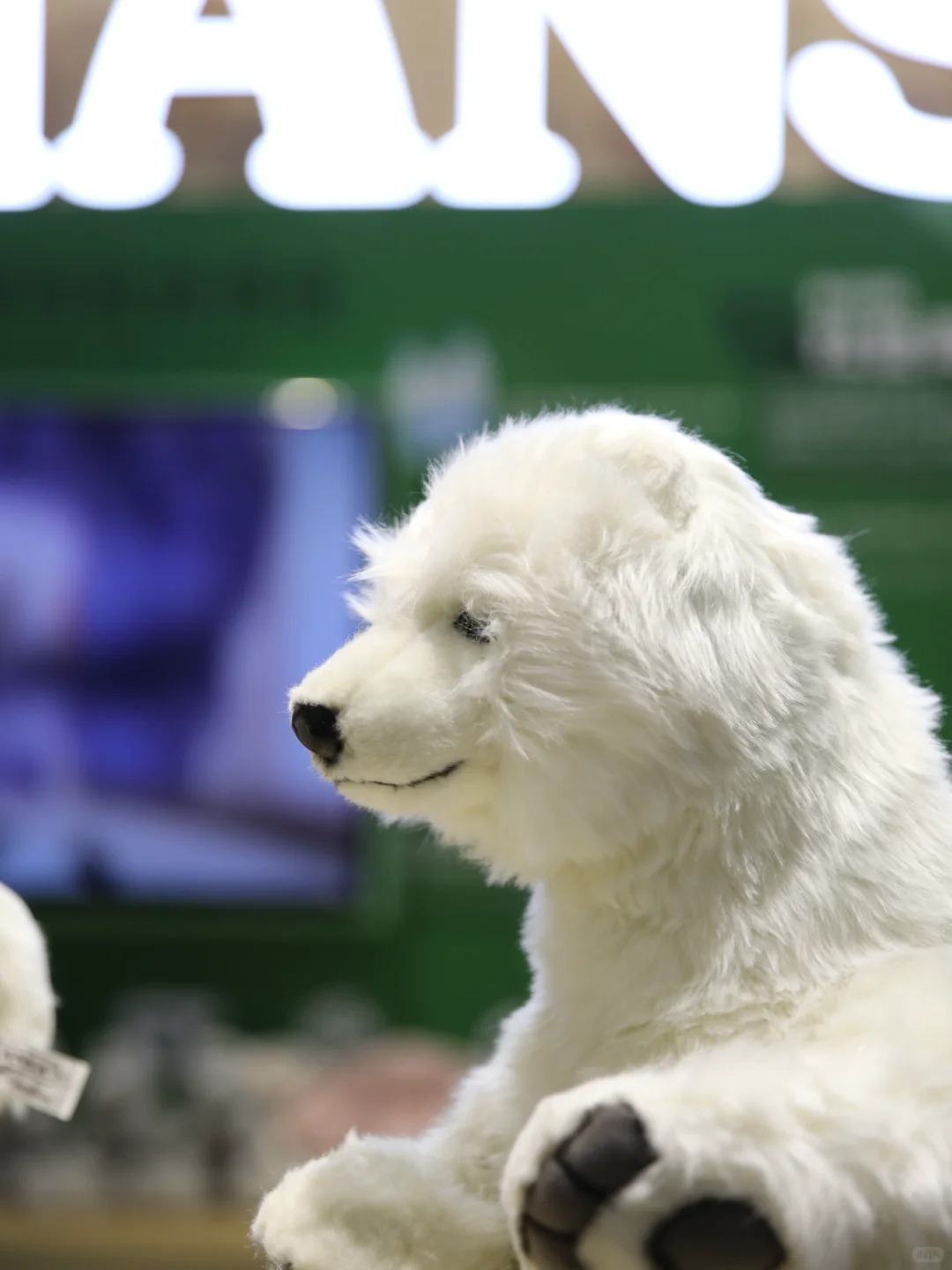 2025CIIE｜IMON x HANSA