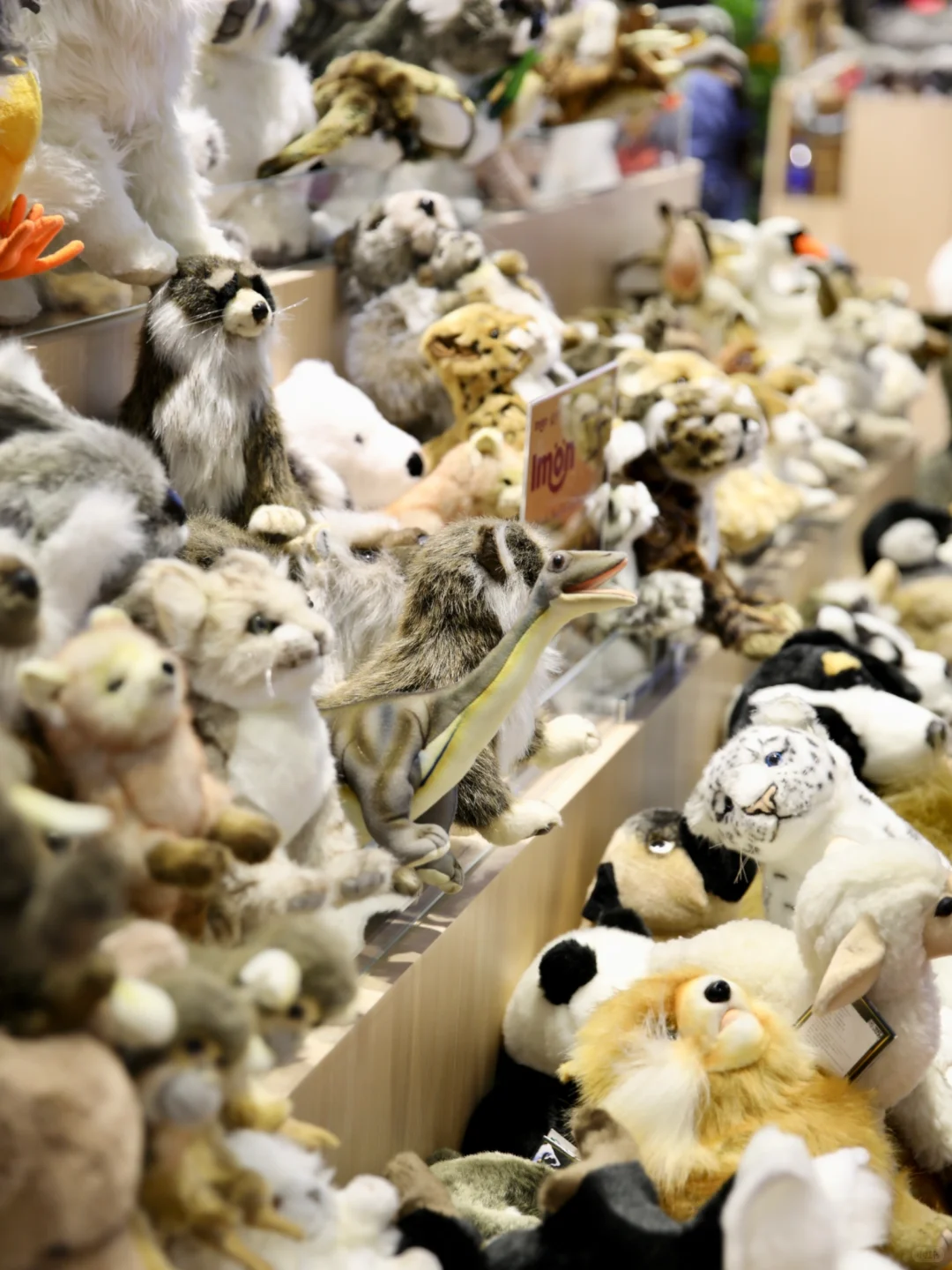 2025CIIE｜IMON x HANSA