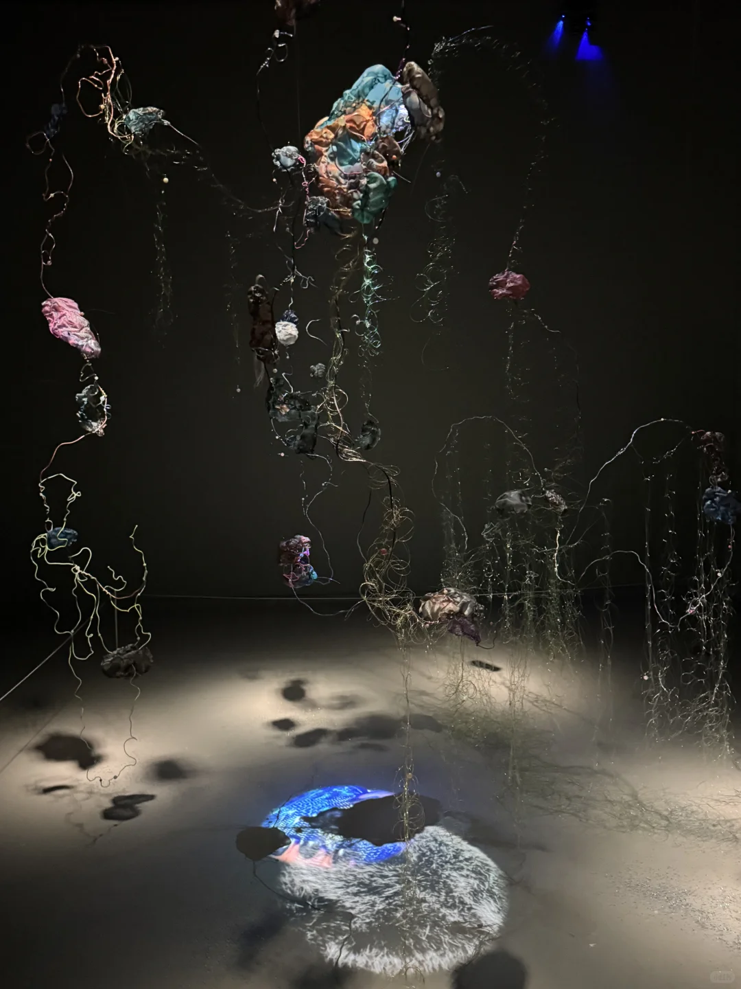 2025上海双年展是把秋天搬进展厅了吧！