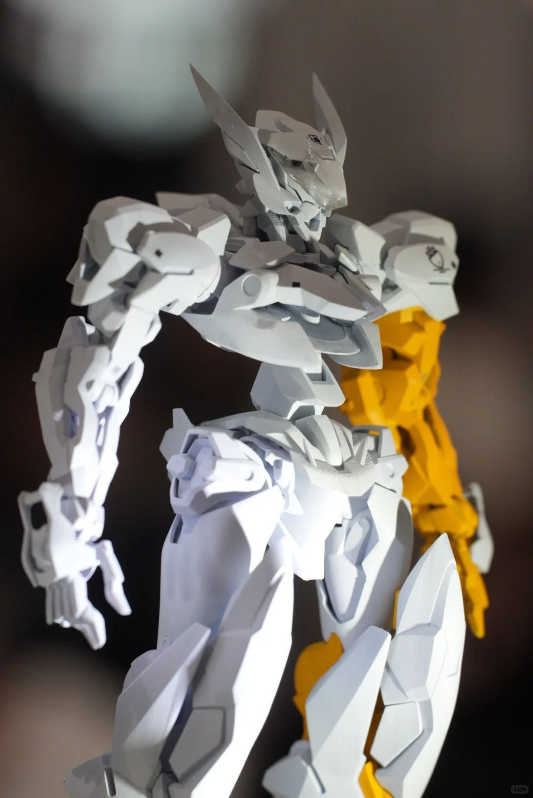 第一次参加wf2025上海展，经验值zero