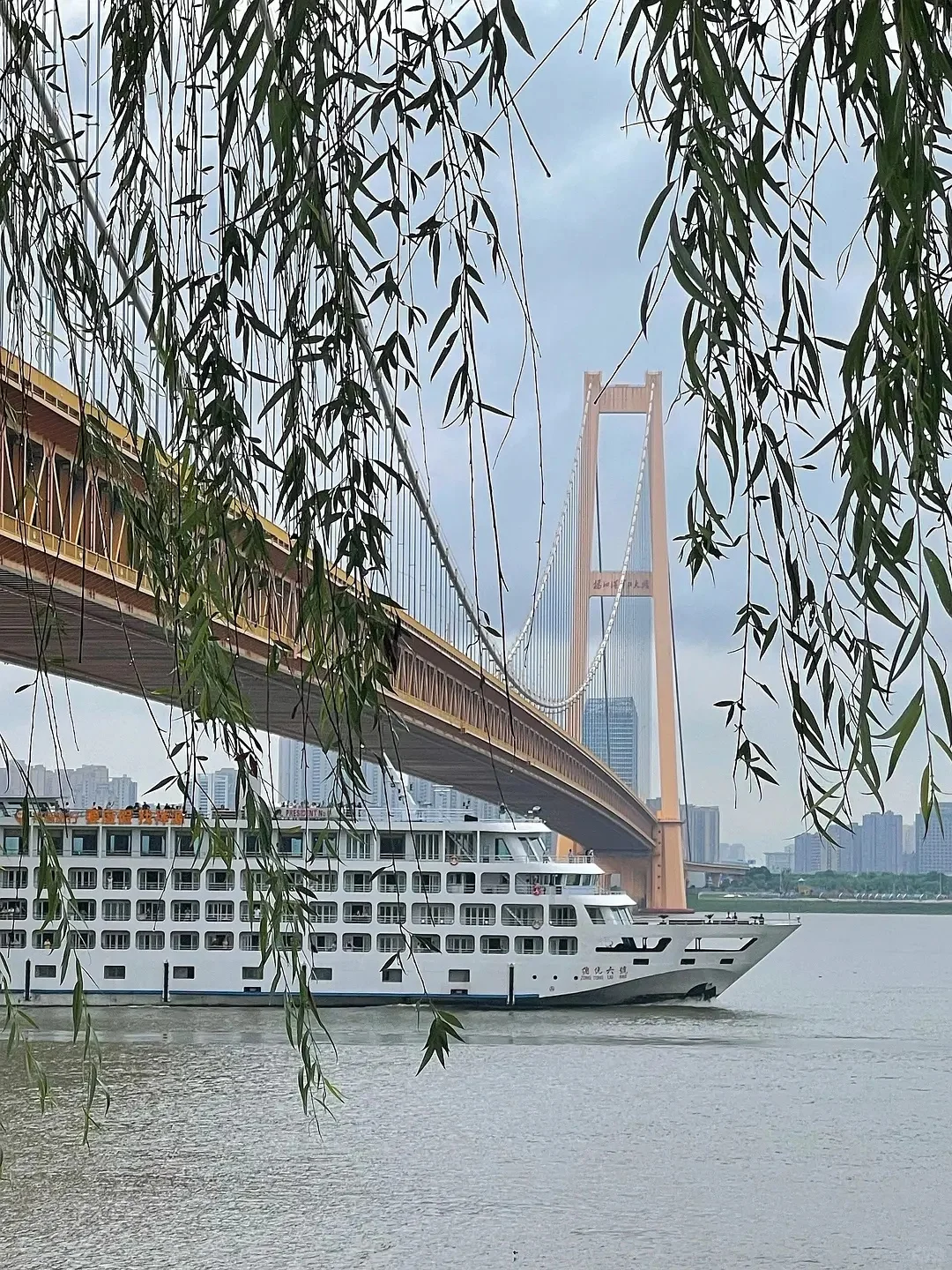 跑步机上听AI解析消费电子新趋势?♂️