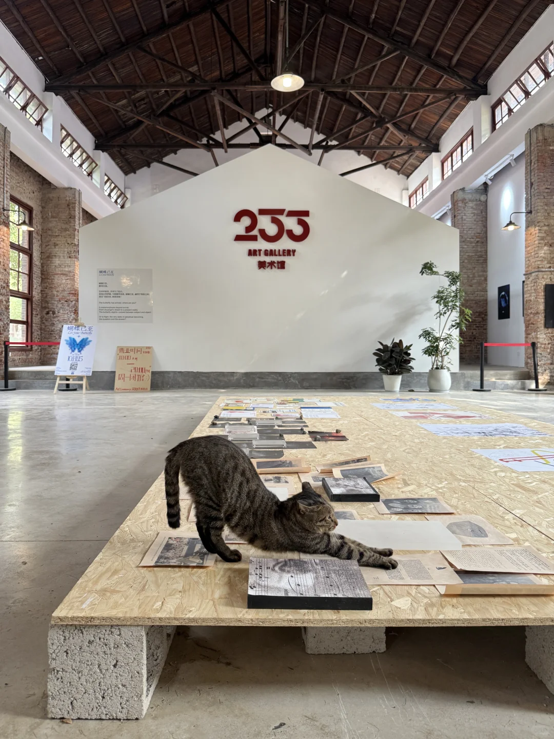 长沙新展 ▪️233艺术社区 ? 「生长的语法」