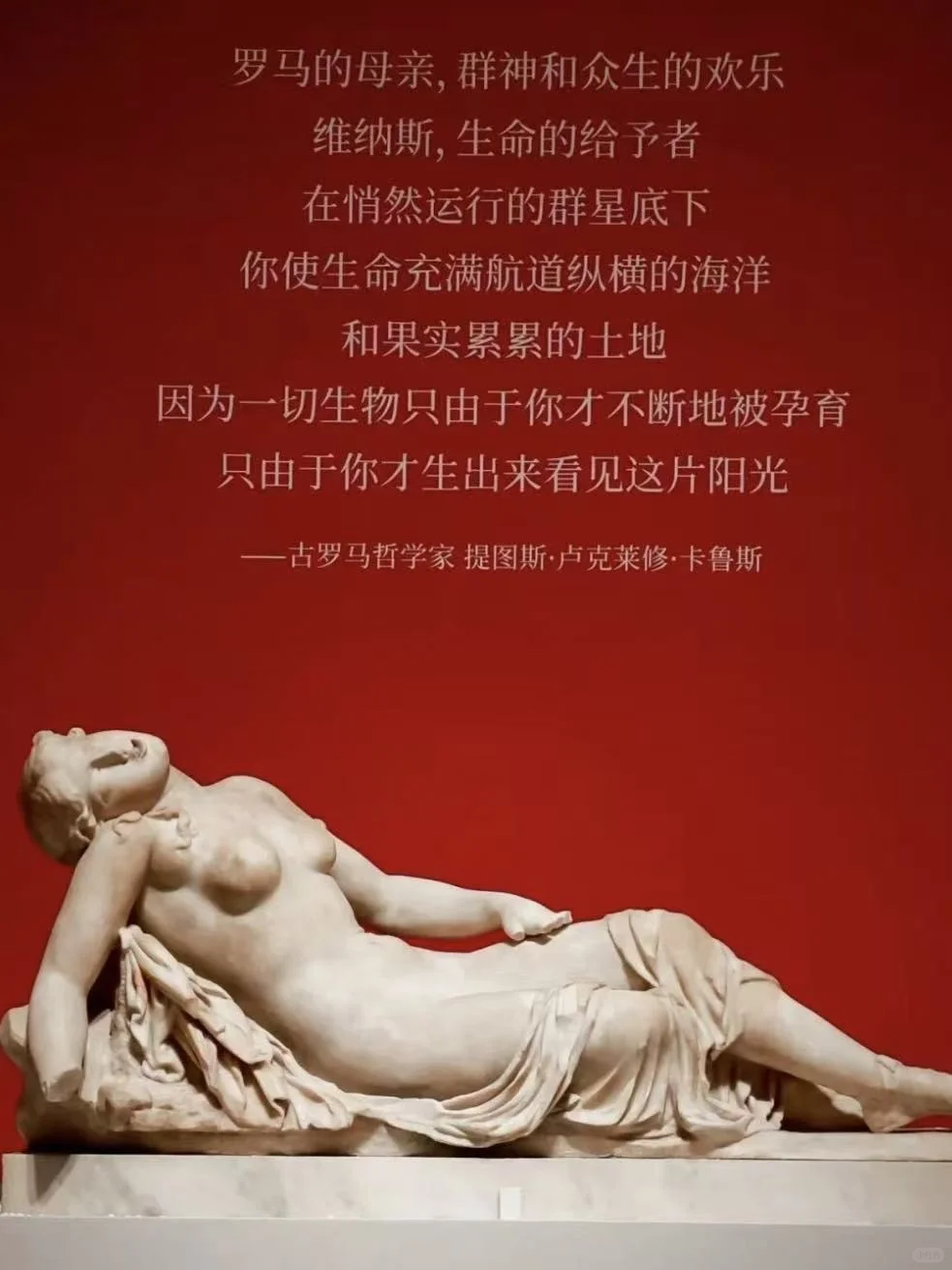 11月遛娃｜上海世博会博物馆罗马罗马展