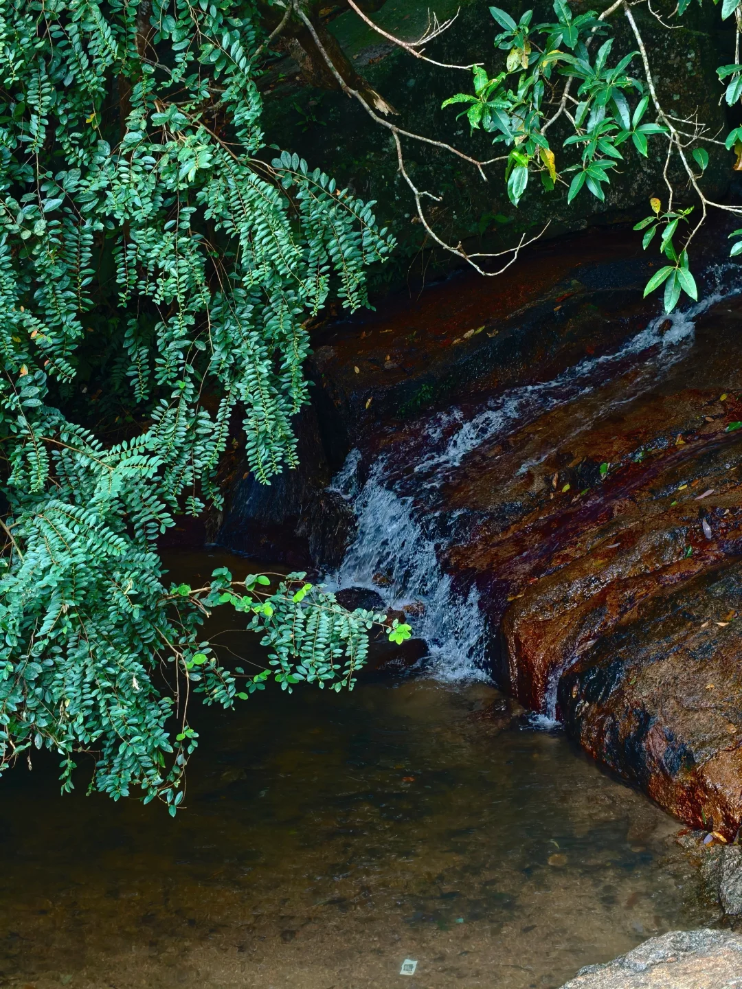 只要有人的地方 就有中国人卖东西