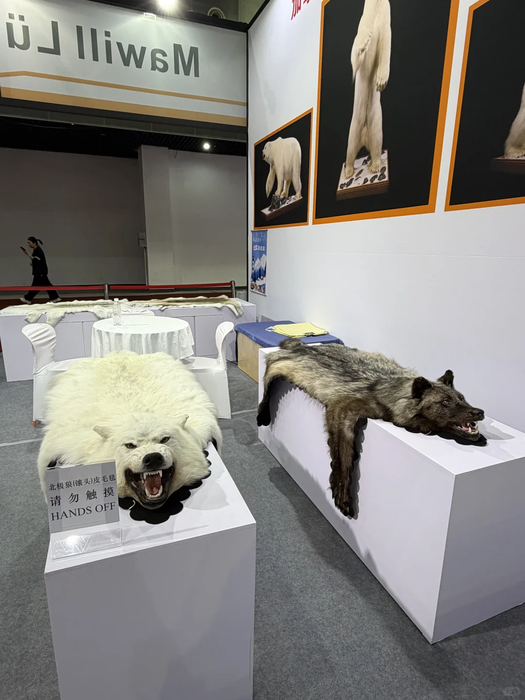 义务进口商品展太好逛了吧