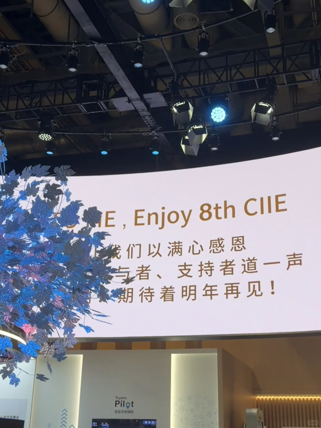 上海进博会圆满收官啦