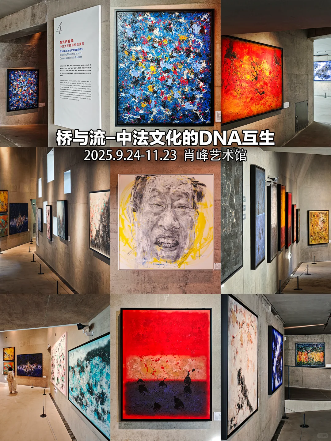 杭州11月免费展览|30个值得一看的精品展