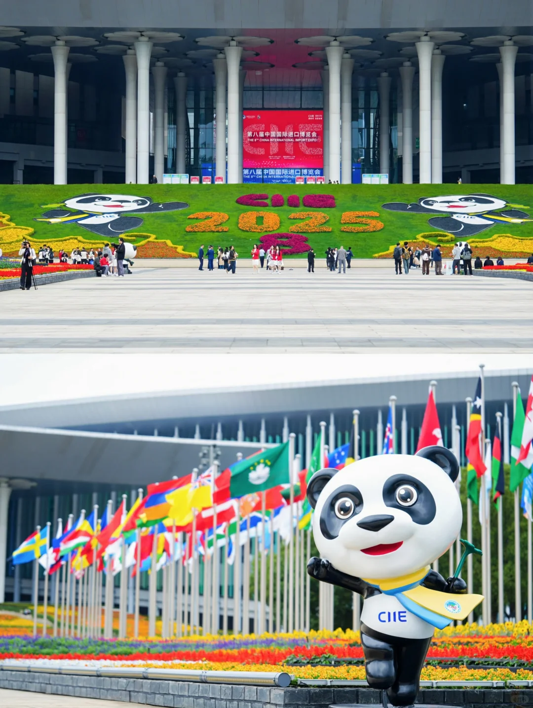 上海进博会圆满收官啦