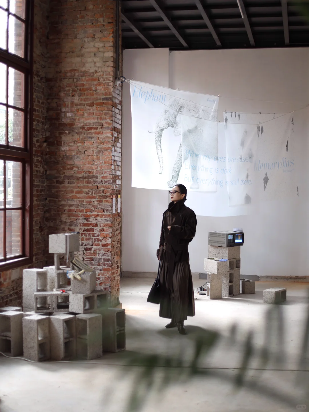 长沙新展 ▪️233艺术社区 ? 「生长的语法」