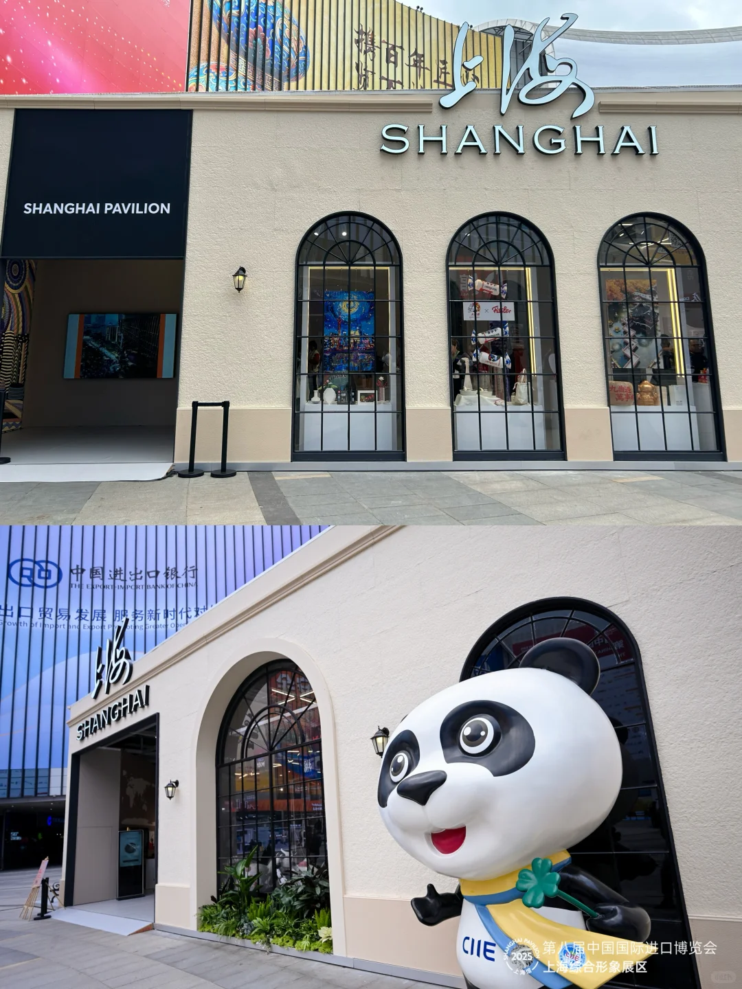 活力进博，舒爽相伴