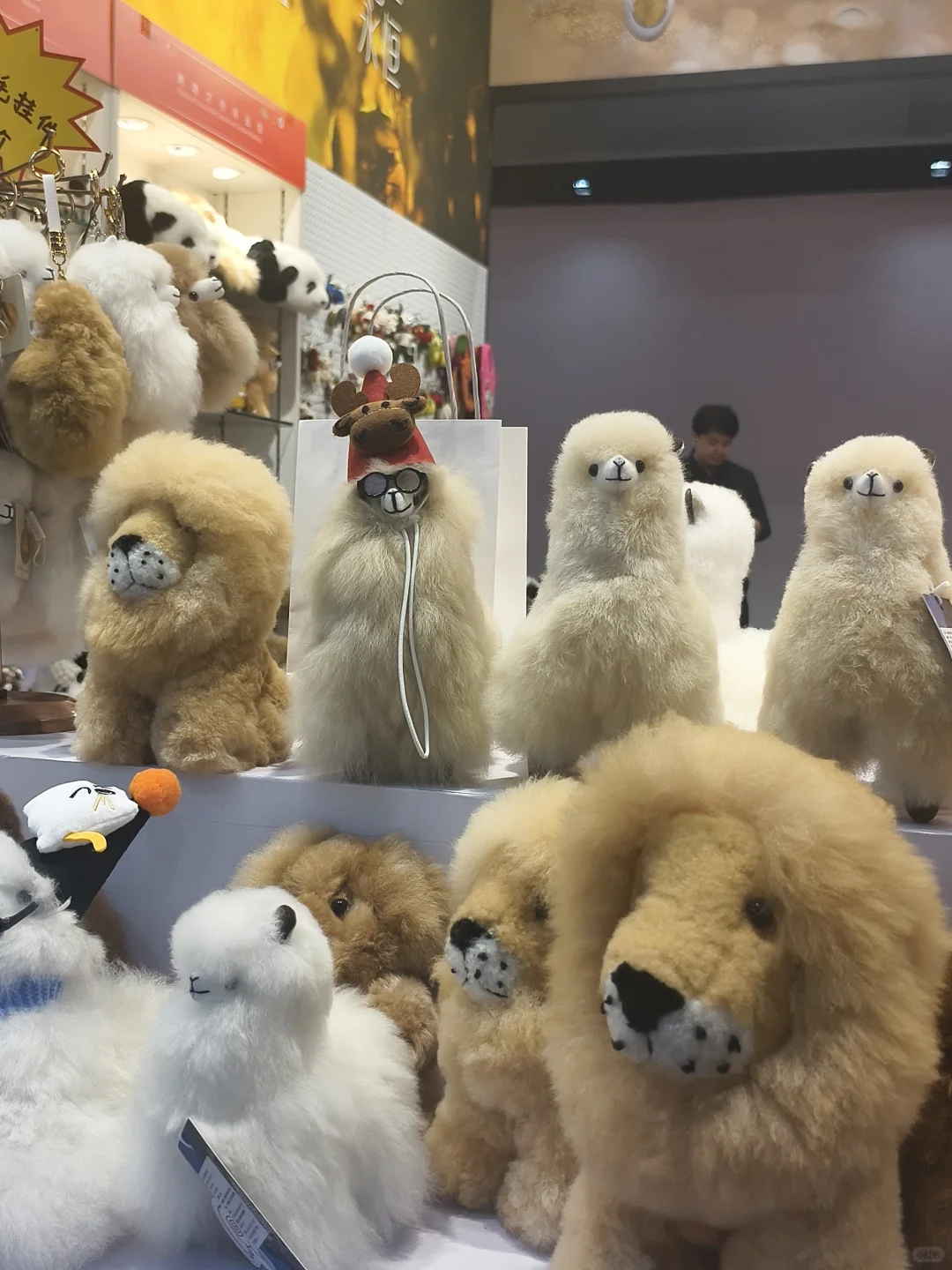 义乌进口展战利品结算!和非洲老板大砍价
