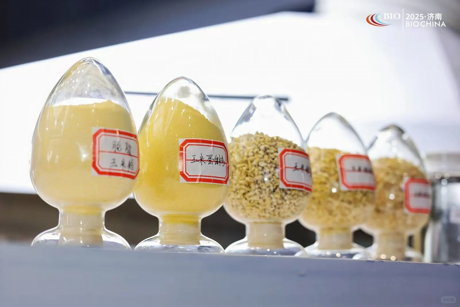 2026年国际玉米及淀粉深加工产业展览会