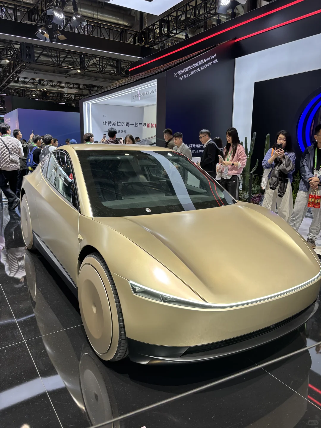 进博会车展