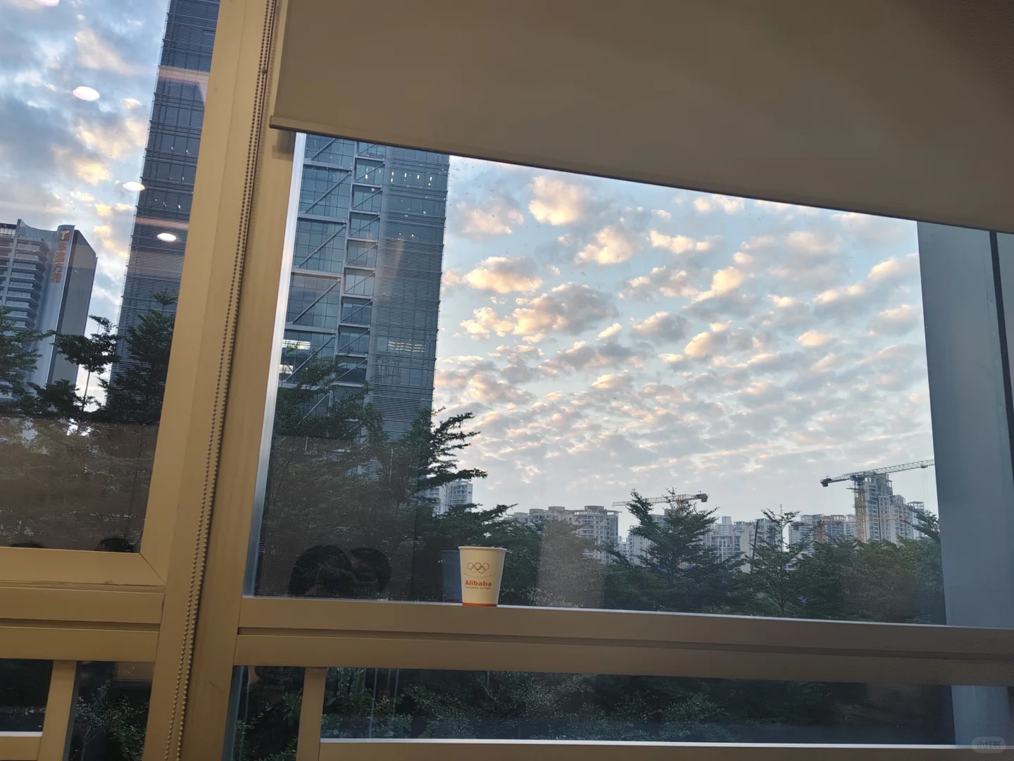 阿里跨境电商学习