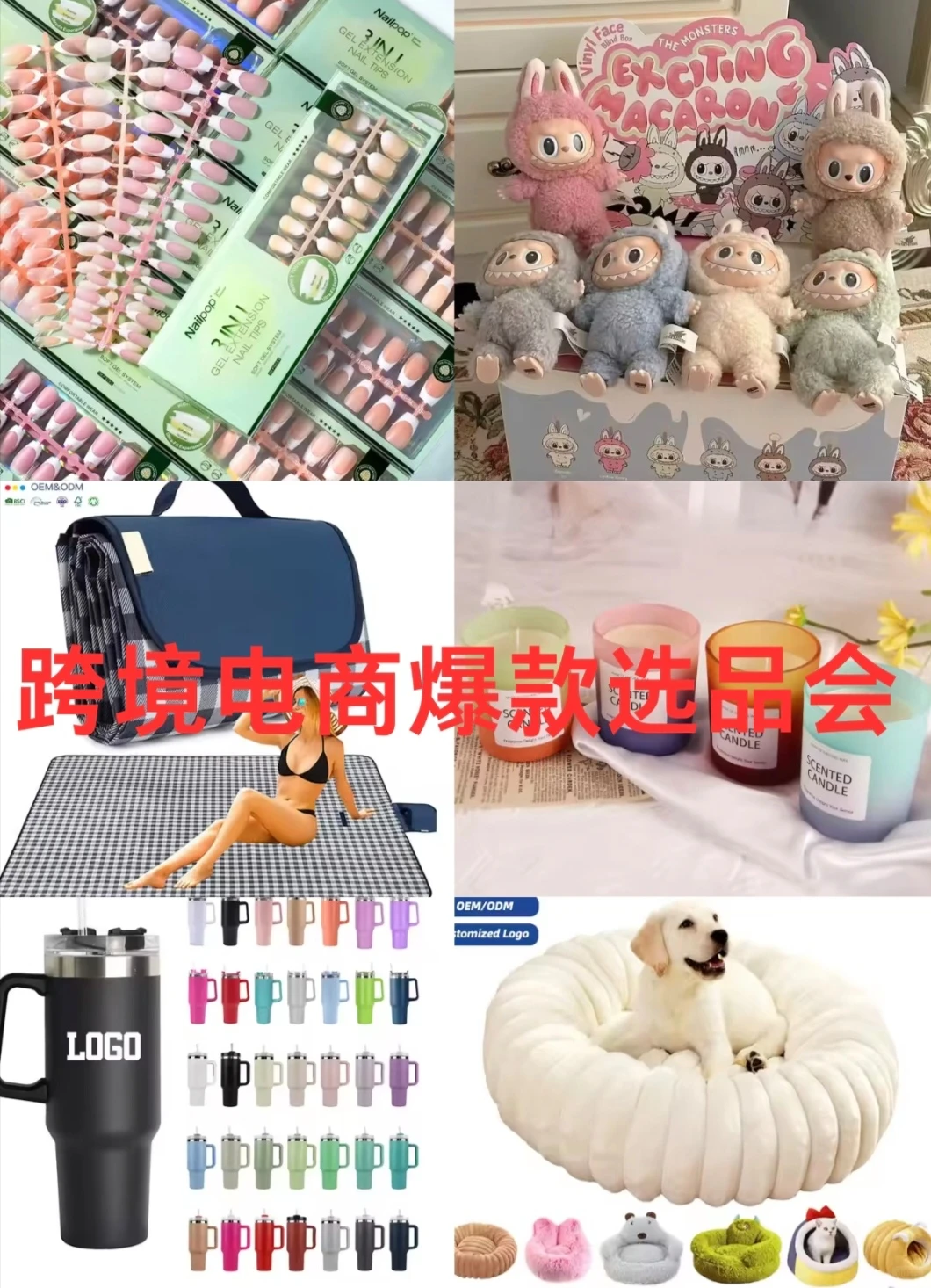 全球跨境产业基地发布暨外贸交流会