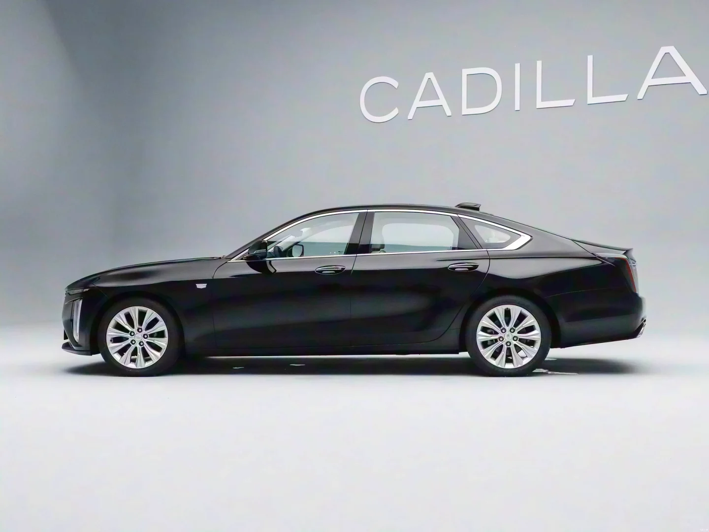 CT6旗舰版，进博会礼宾车用车