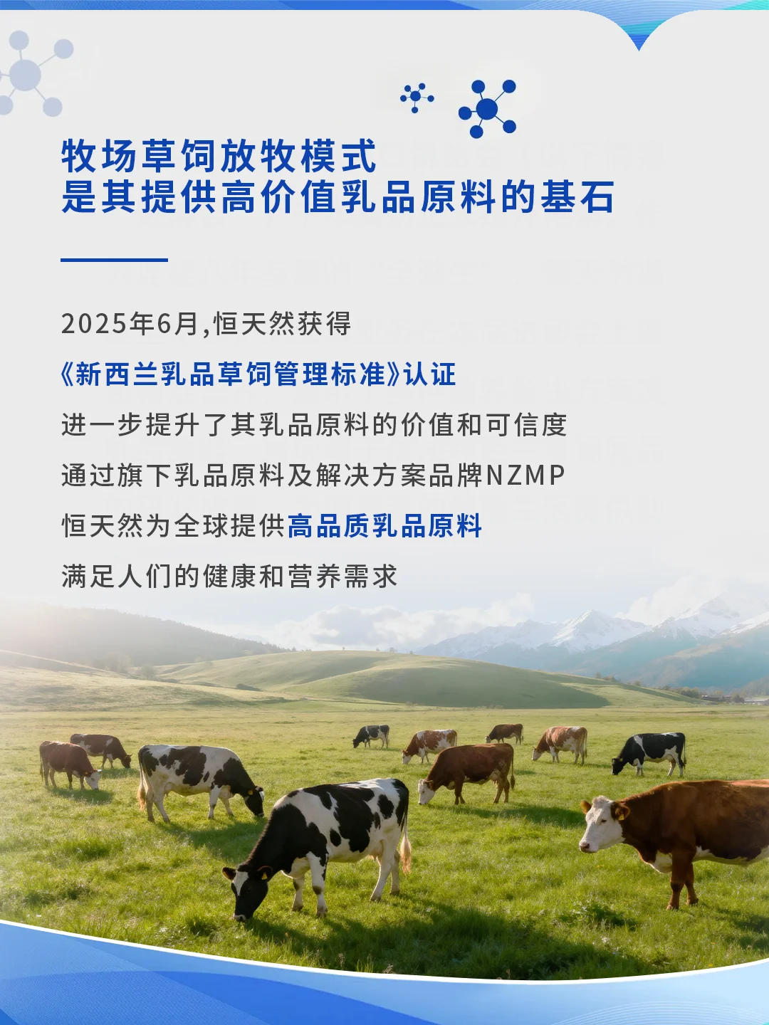 恒天然集团旗下NZMP品牌亮相2025进博会