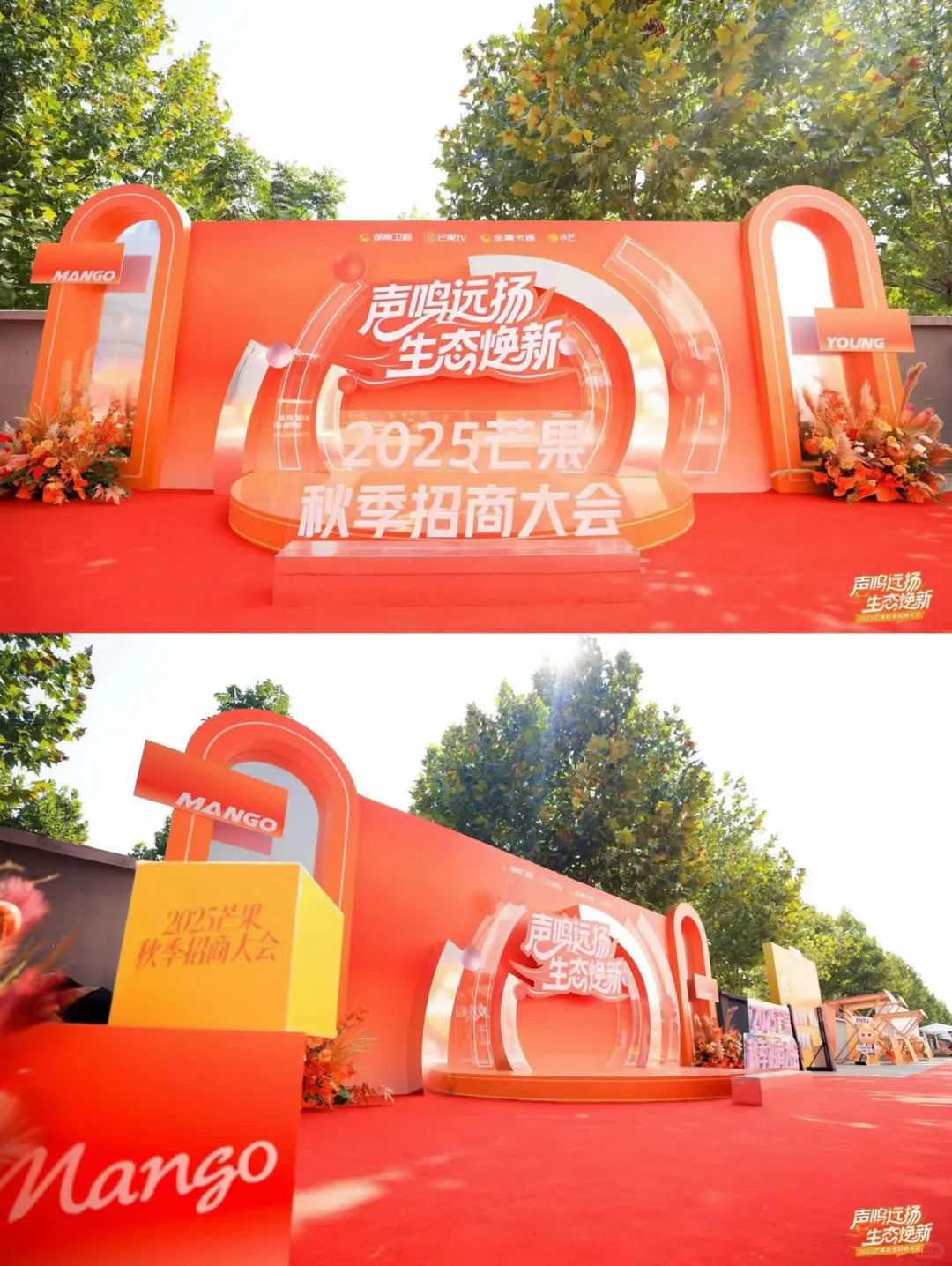 芒果秋季招商会?橙色系甜品台好有氛围感