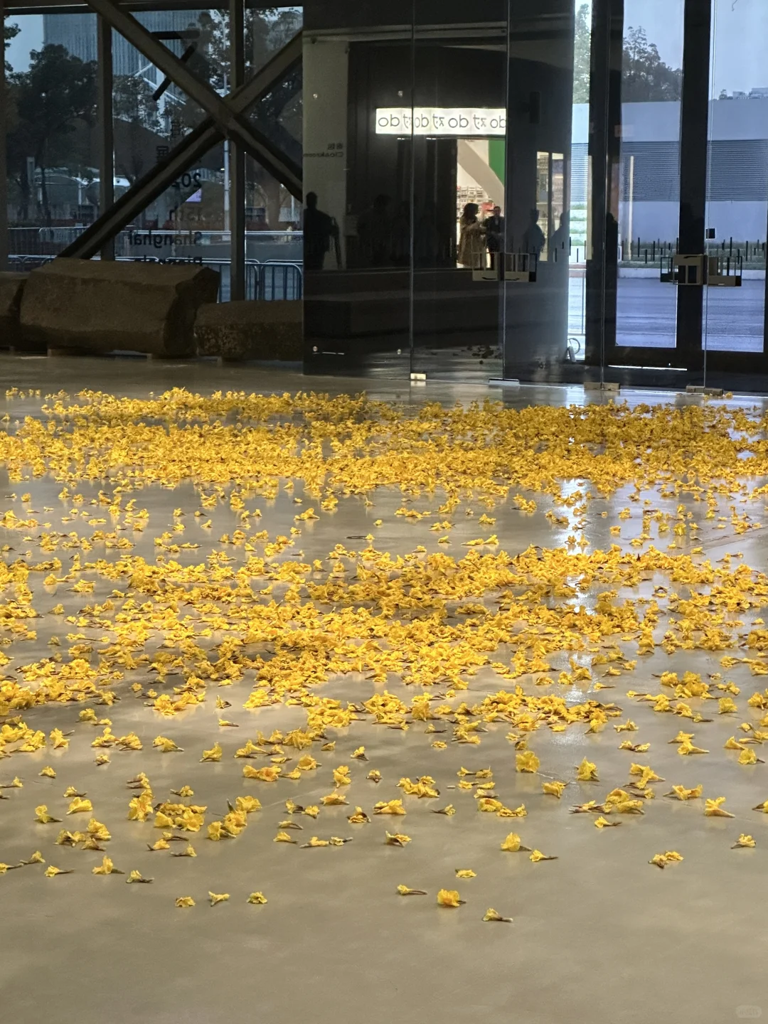 上海双年展抢先? 大装置太治愈了❗️