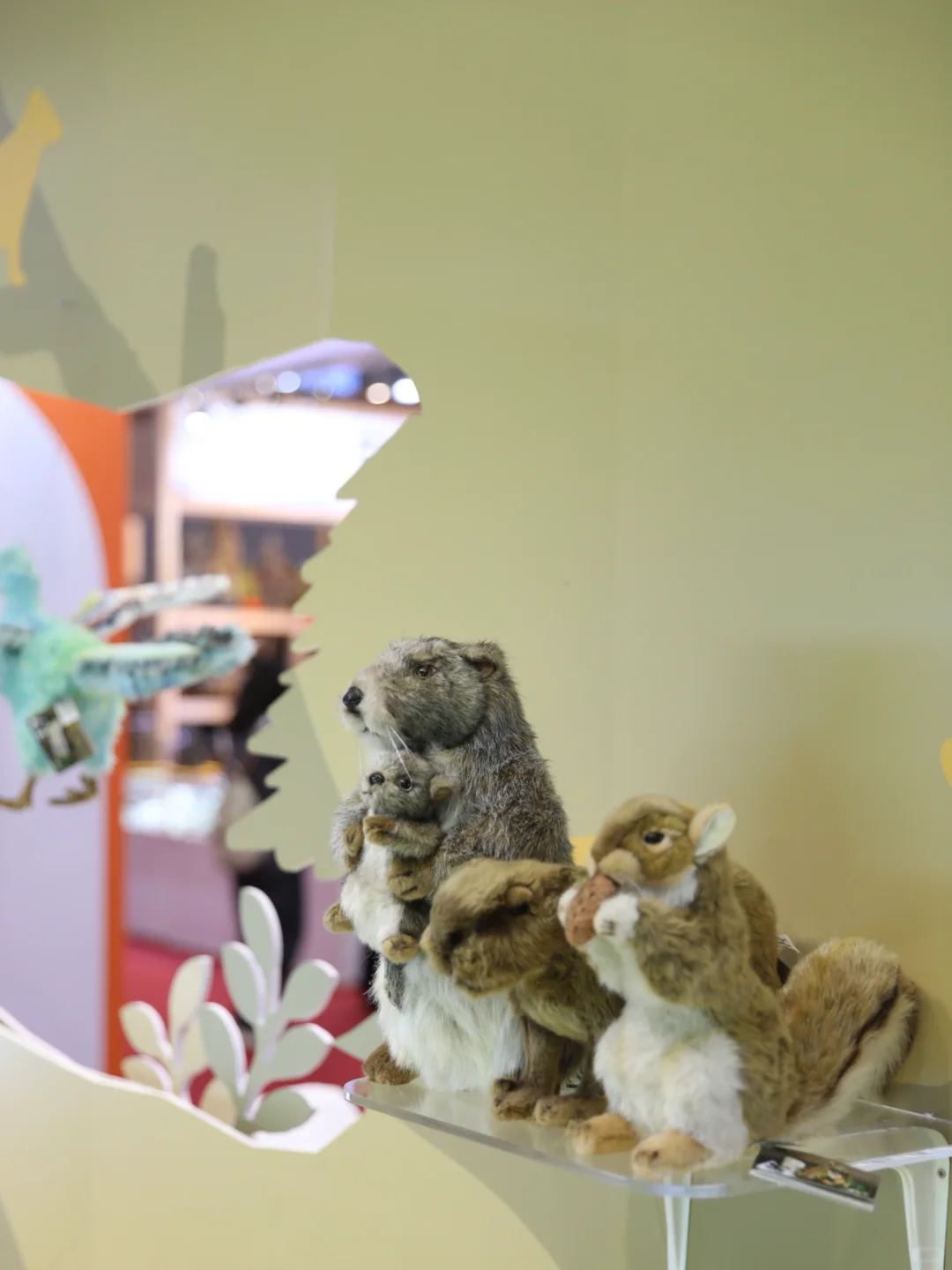 2025CIIE｜IMON x HANSA