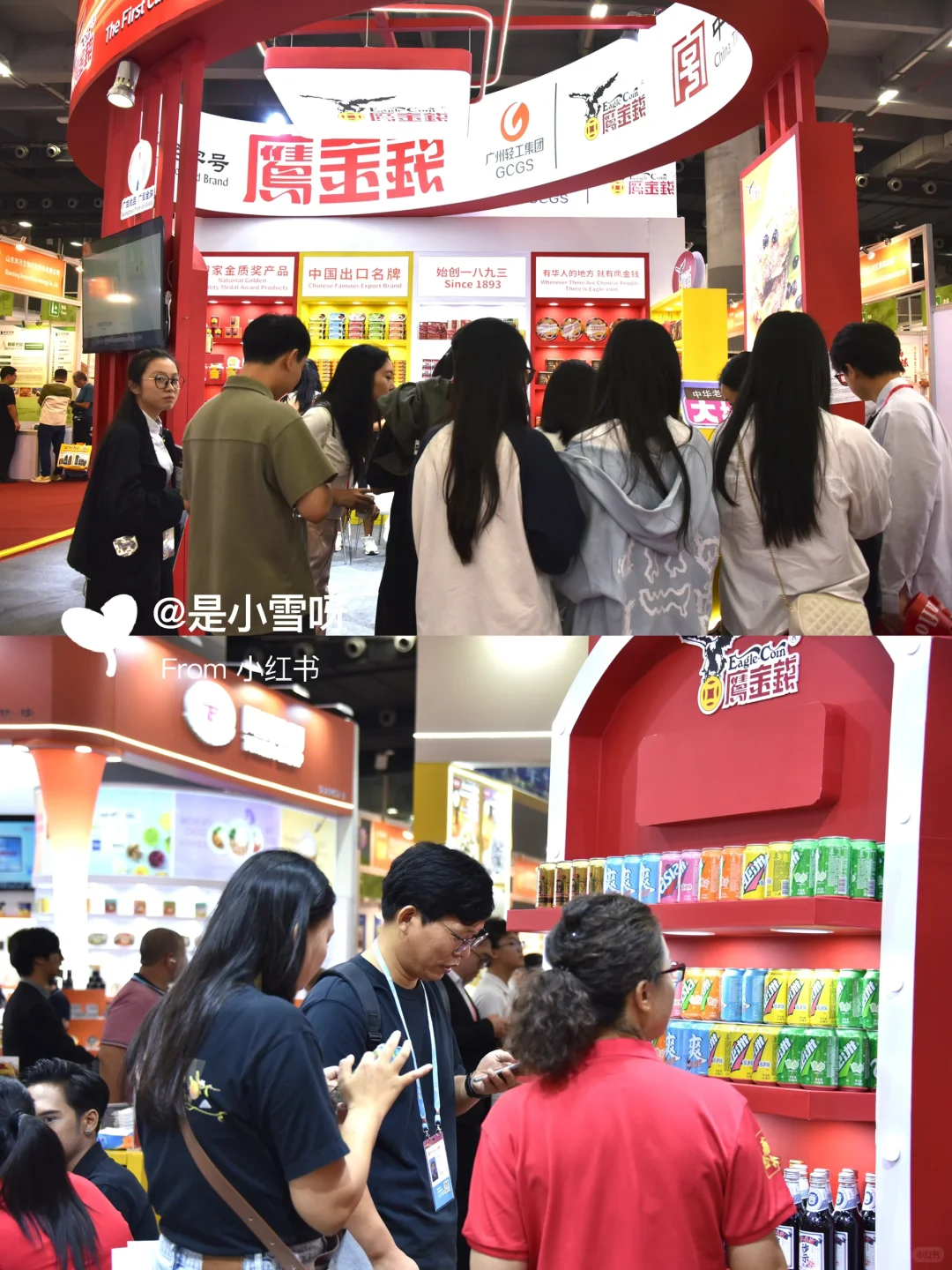 不是豆豉鲮鱼都叫鹰金钱！一饭封神同款！！