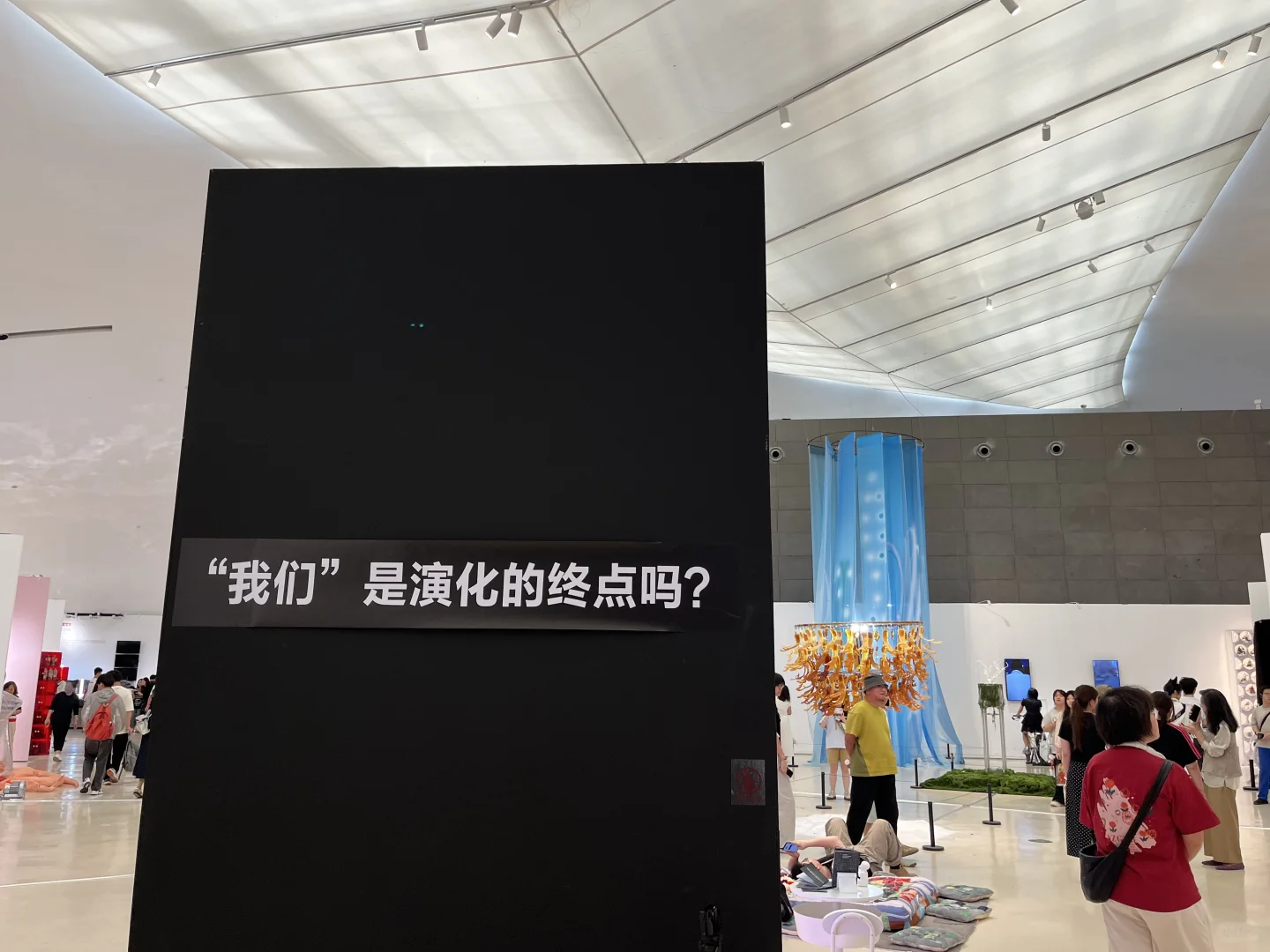 央美毕业设计展之【躺平系列】