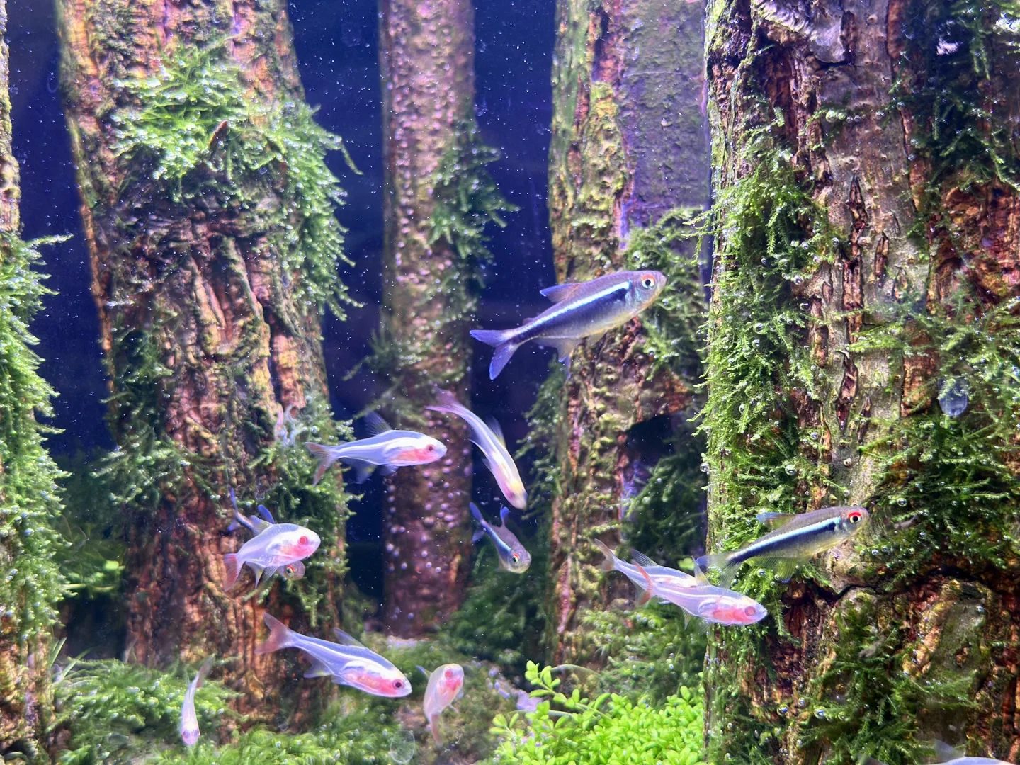 云观展- 2025长城杯