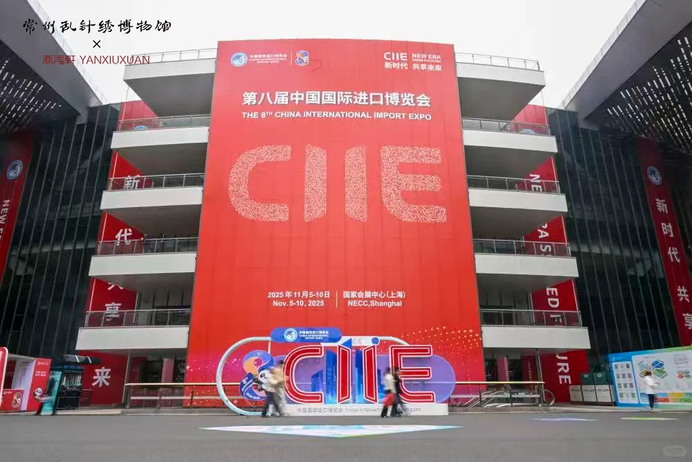 我们带着常州非遗，站在了进博会的舞台