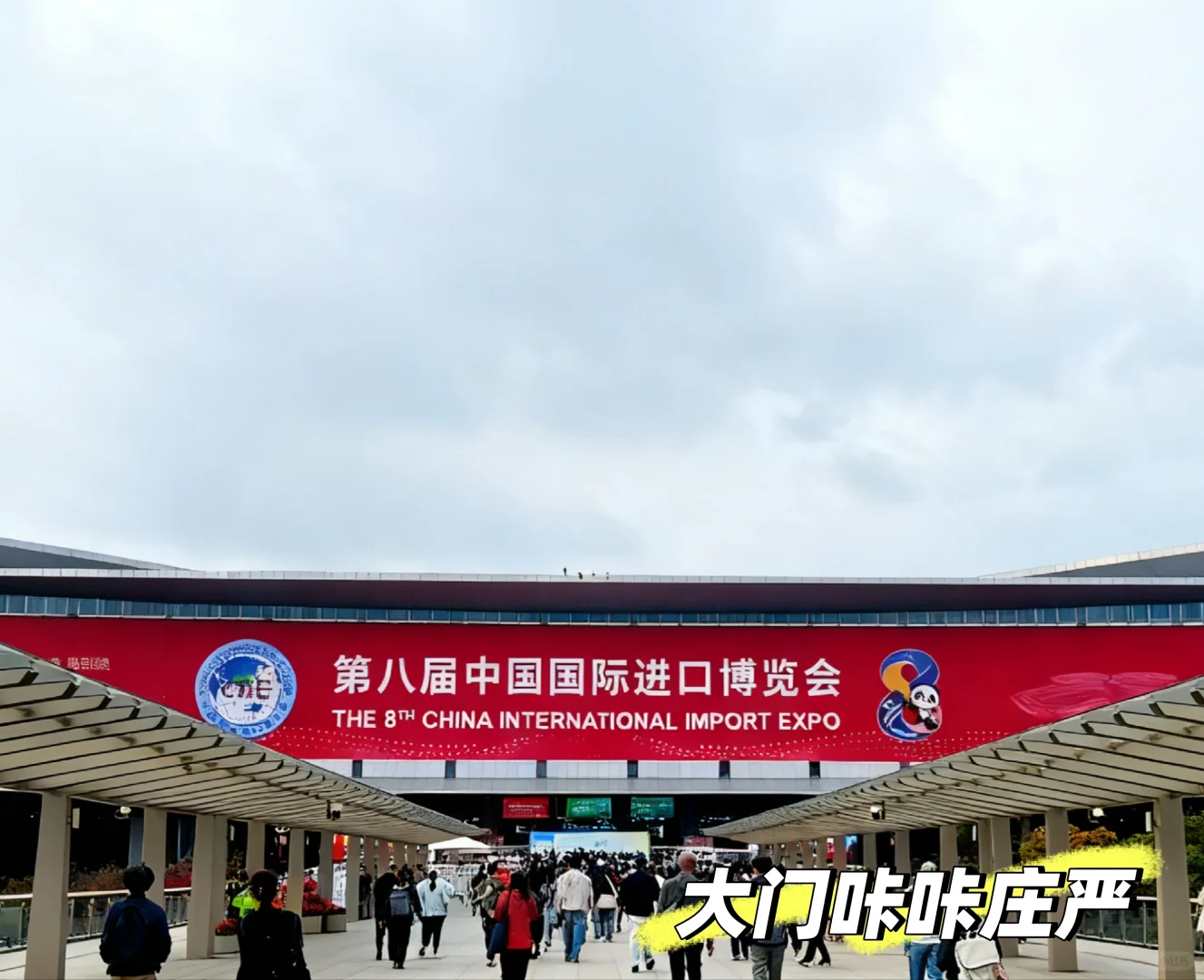 进博会，我们来啦！