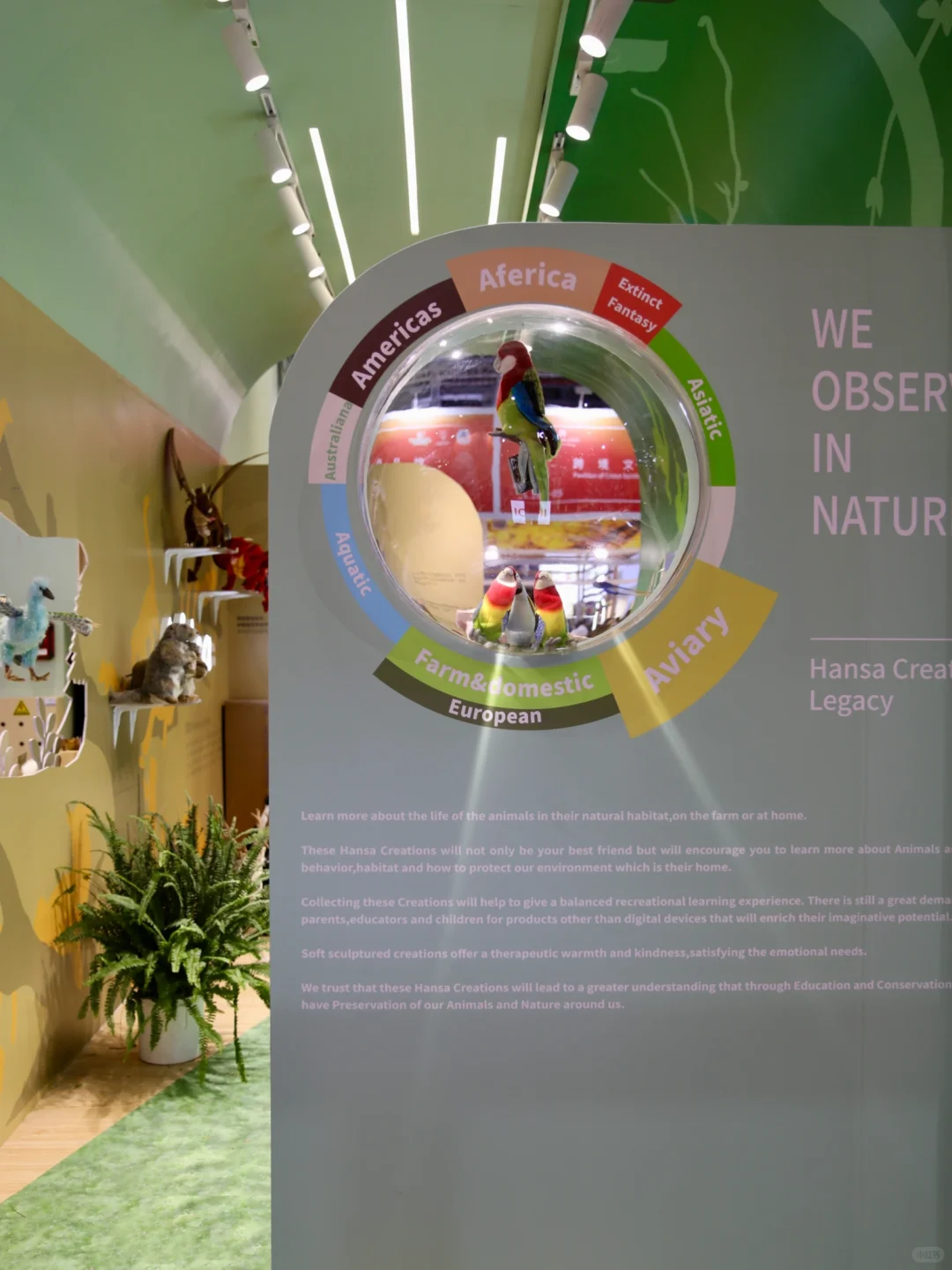 2025CIIE｜IMON x HANSA