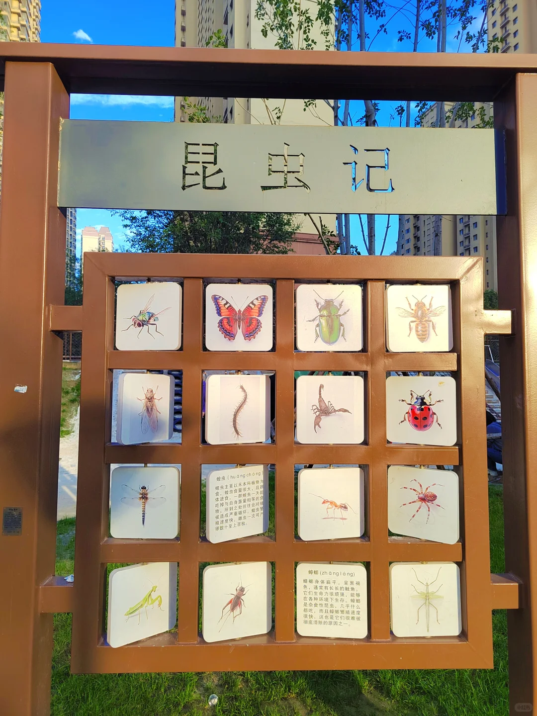 免费遛娃新地标，红旗铁路公园嗨玩一整天！