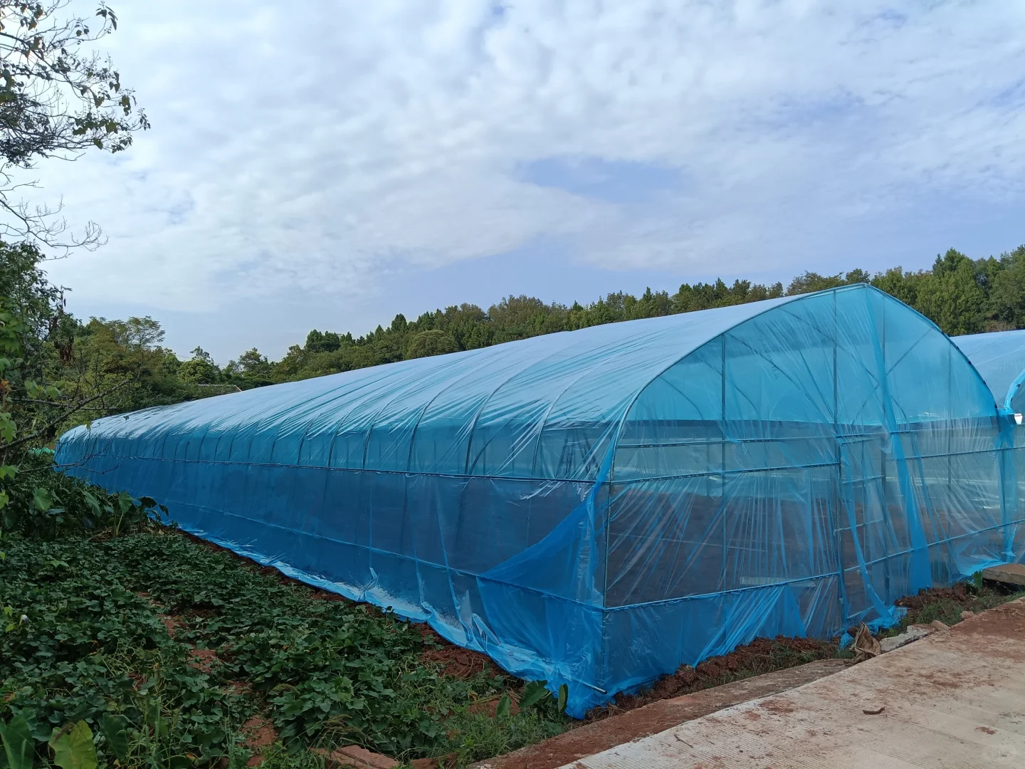 辞职回村创业建大棚，终于要搭建完成啦