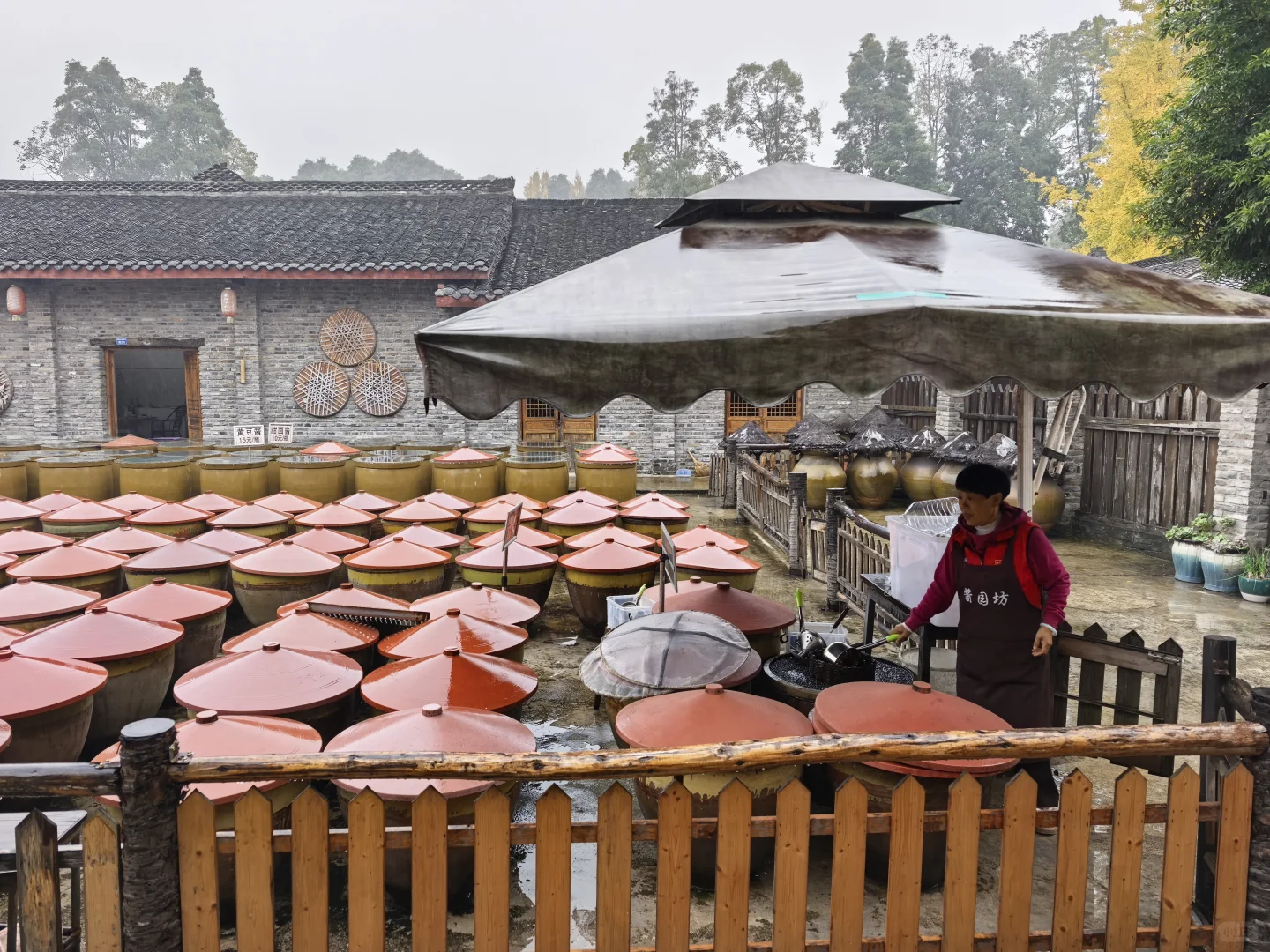 再次感受成都美丽乡村后有感