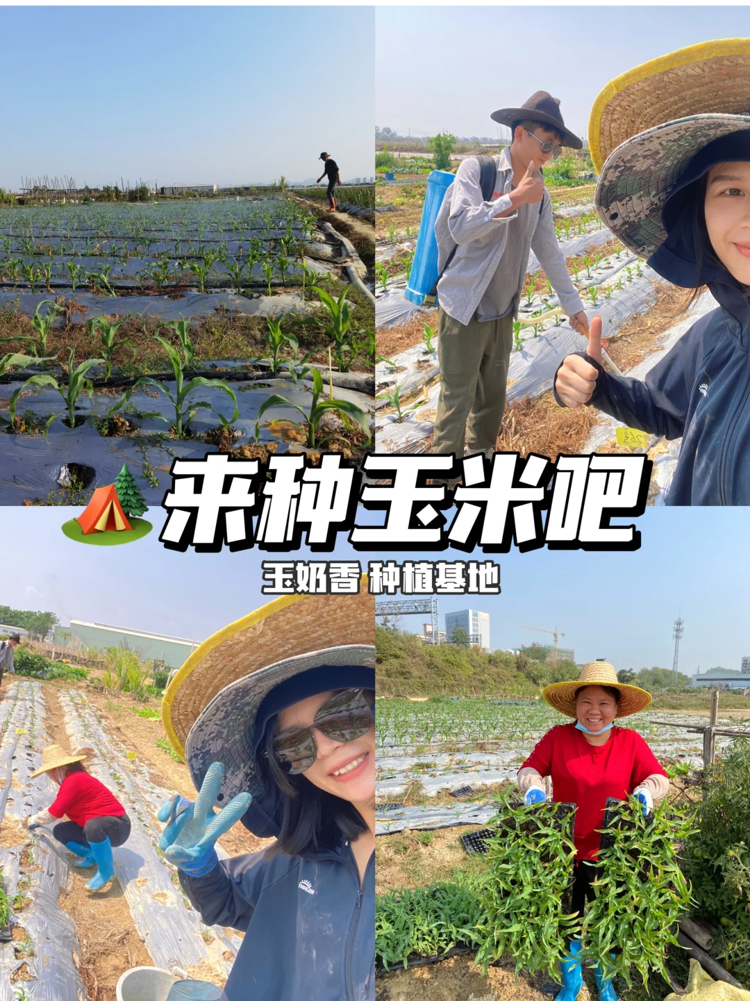 ? 新农人的田园生活，竟然这么治愈！✨