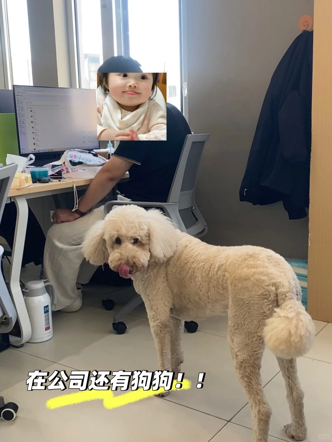 00后勇闯传媒公司是什么体验！！