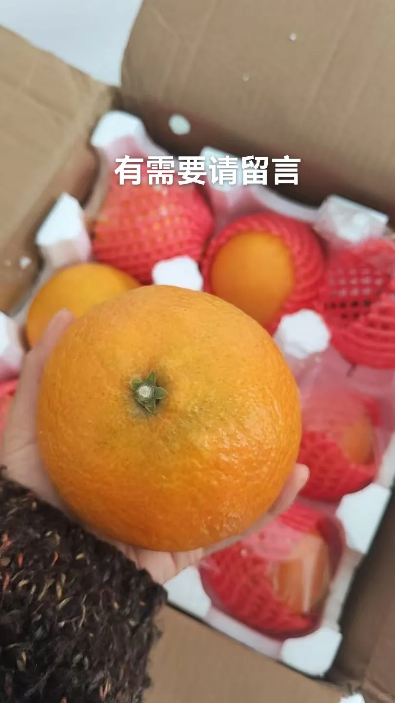 爱媛果冻橙，农村自家果果