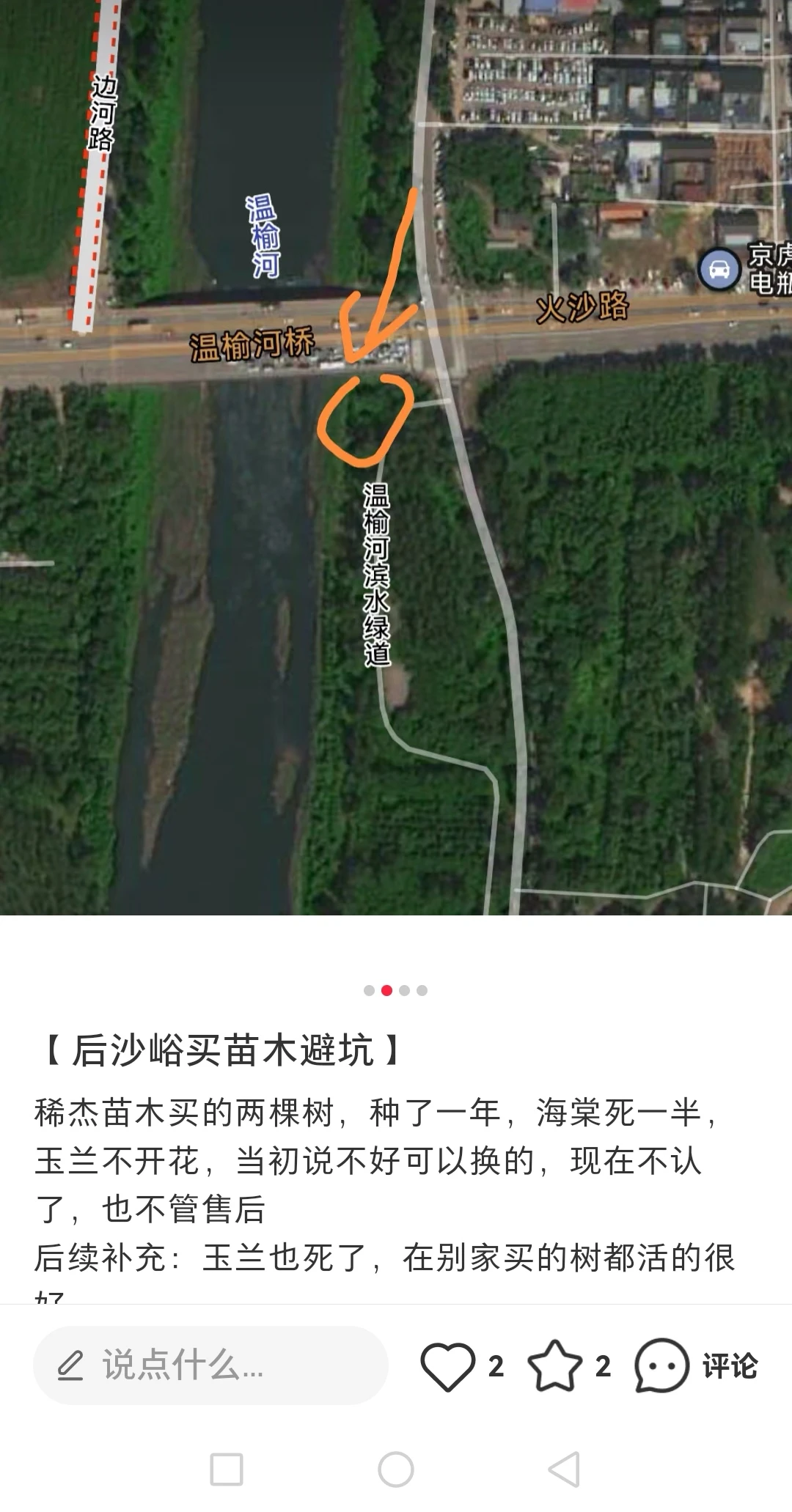 【后沙峪买苗木避坑】