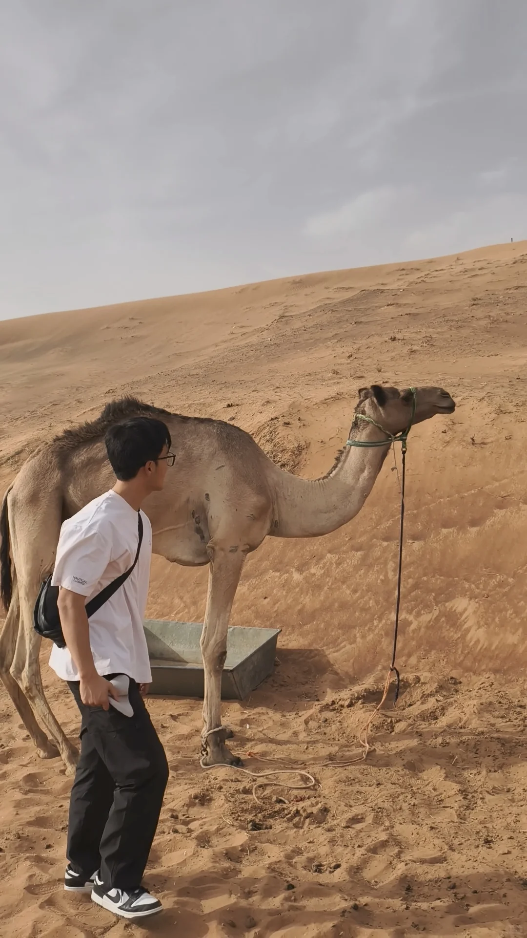 外派迪拜第 263 天