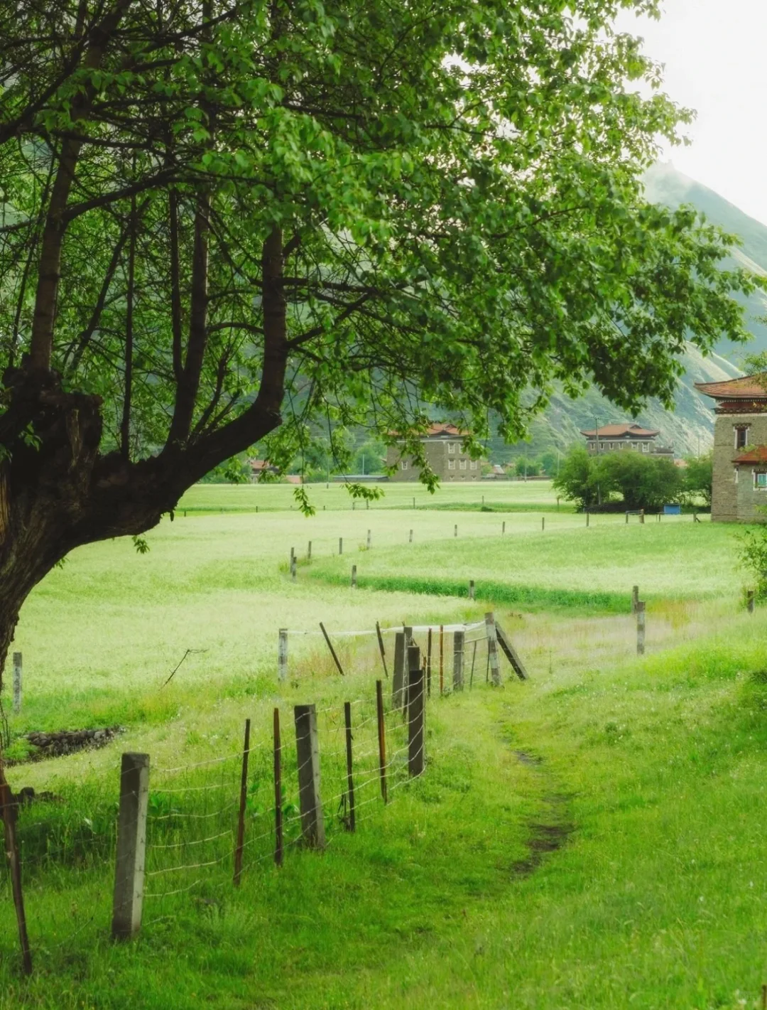 ♻️乡村文旅＋“疗愈经济”助力乡村振兴