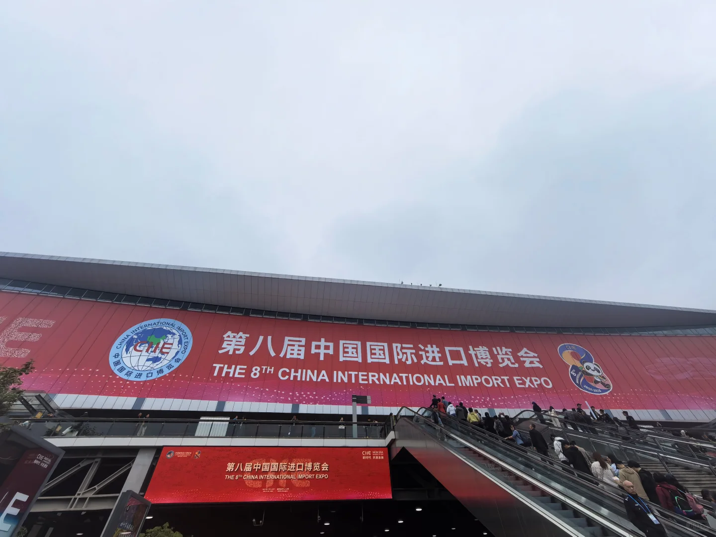 进博会老叶子的逛展攻略来了——