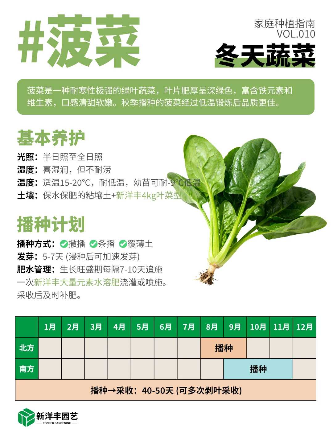 冬天种什么蔬菜？都给你整理好了
