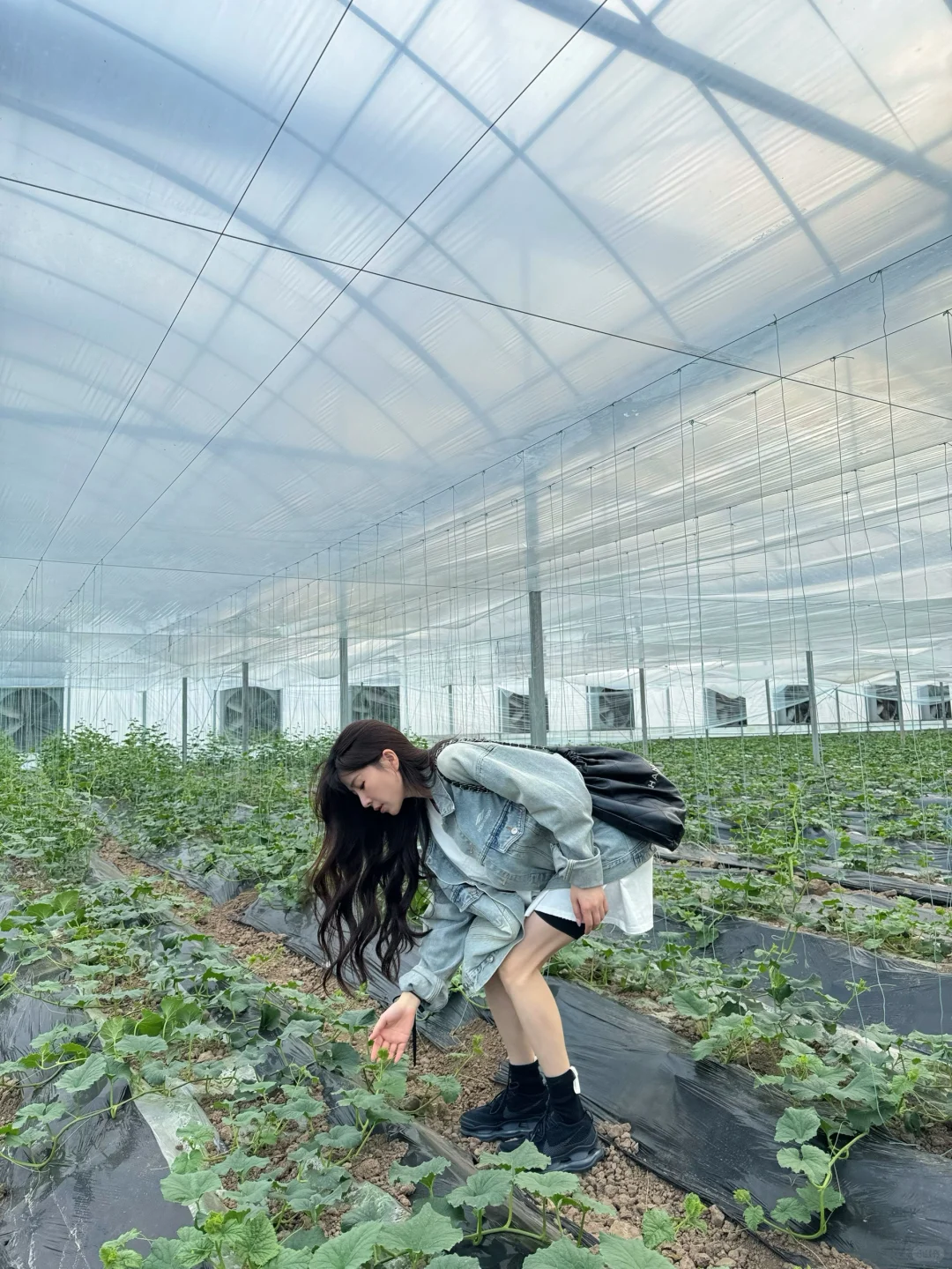 大家好 欢迎来到我家的大棚